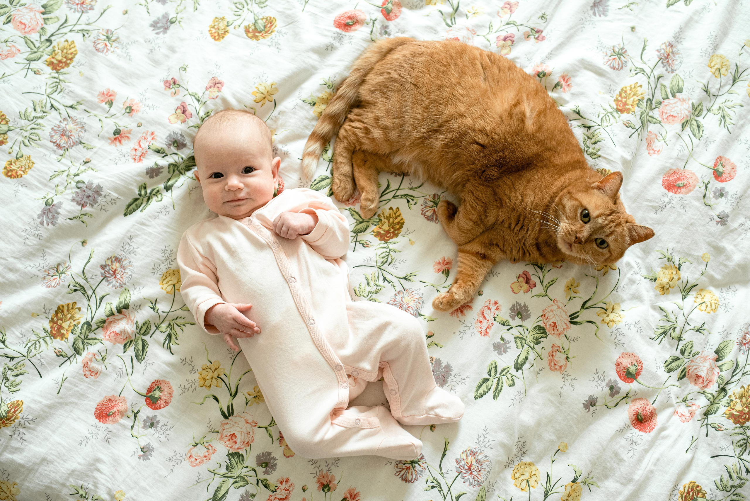 Мария, 3 месяца (домашняя фотосессия в стиле Lifestyle). Фотограф новорожденных в Екатеринбурге Лена Ильина