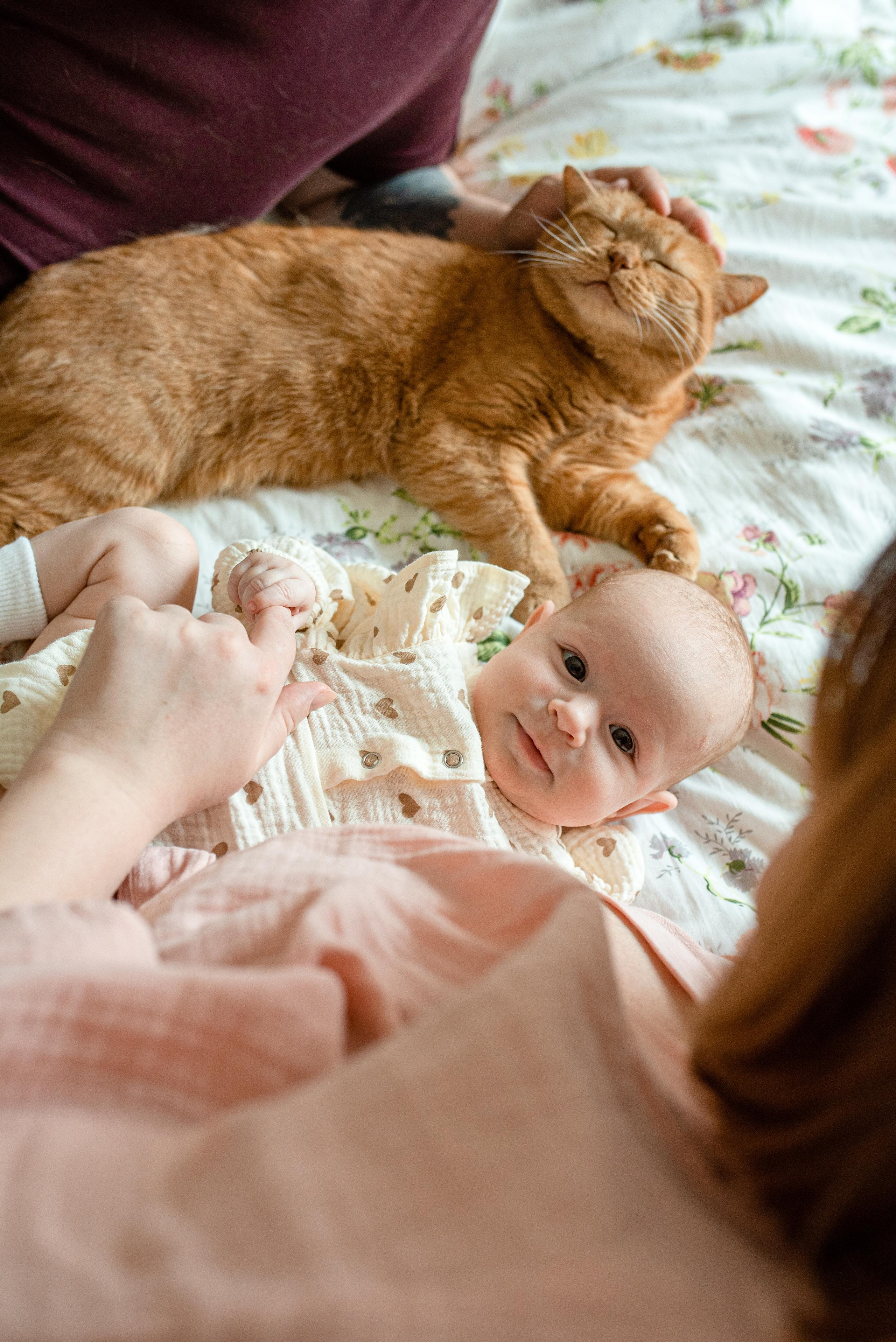 Мария, 3 месяца (домашняя фотосессия в стиле Lifestyle). Фотограф новорожденных в Екатеринбурге Лена Ильина