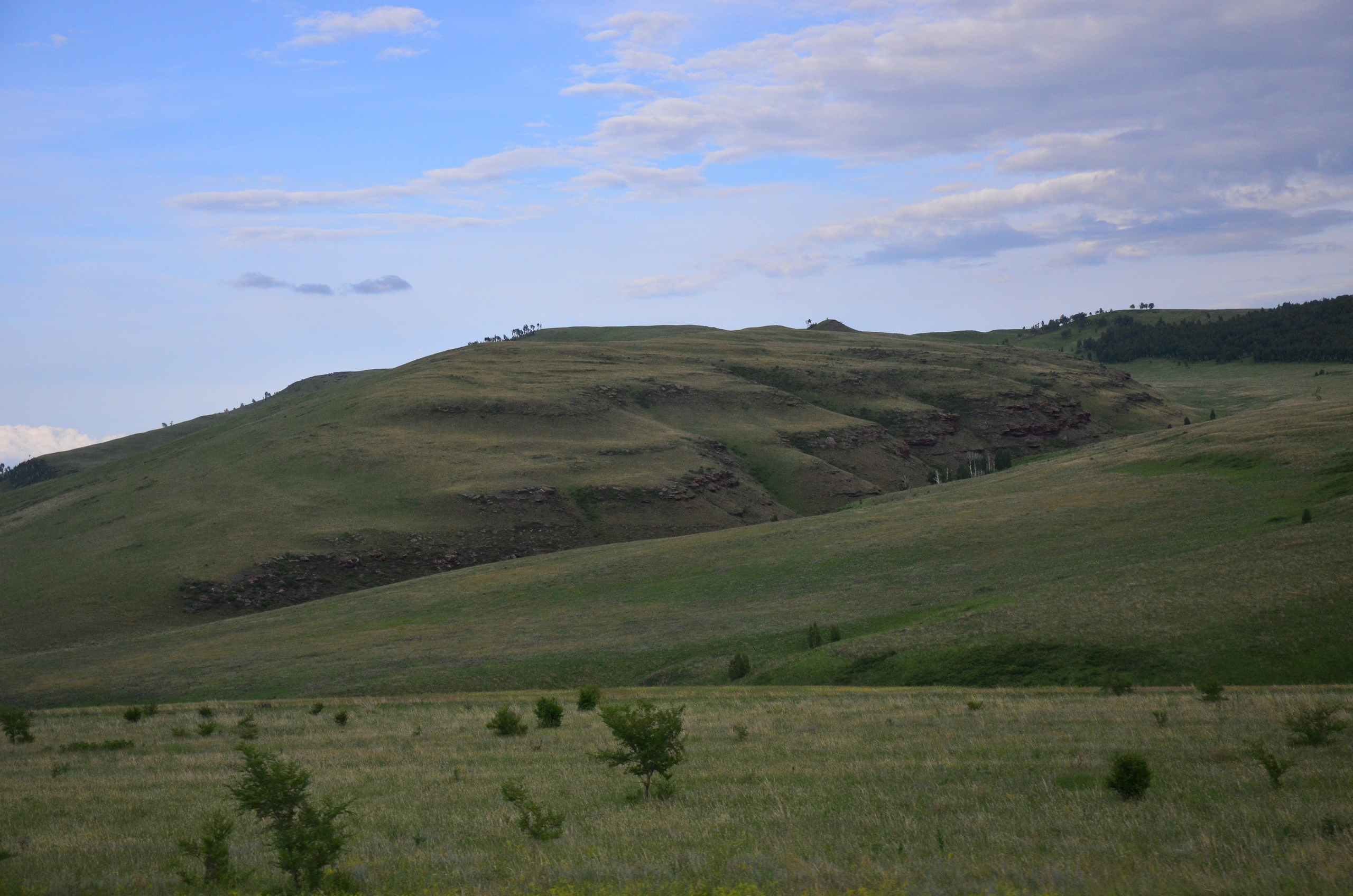 Дары природы. Фотограф viktor viktor
