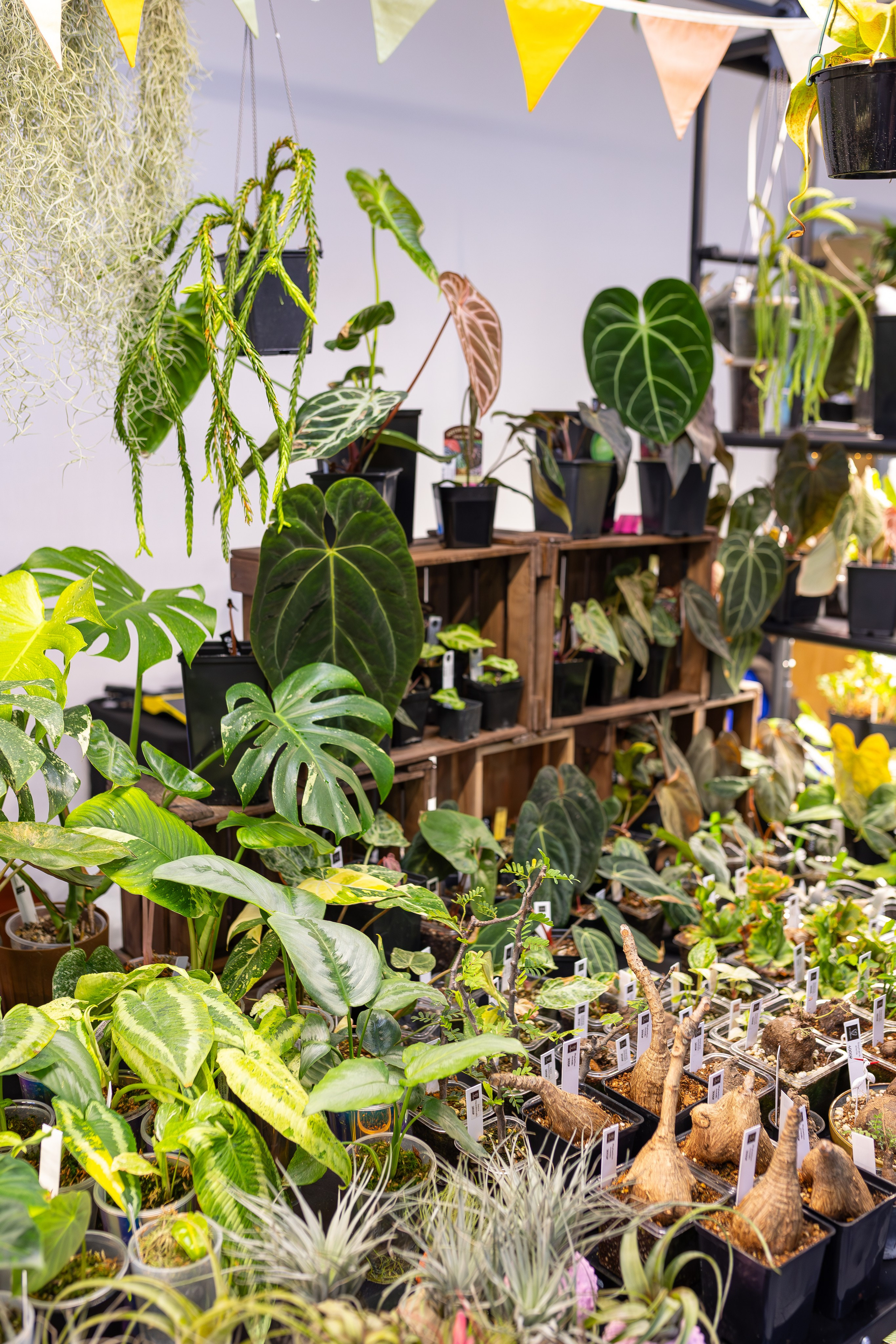 Монстериум апрель 2026. Александра Куликова фотограф, Москва