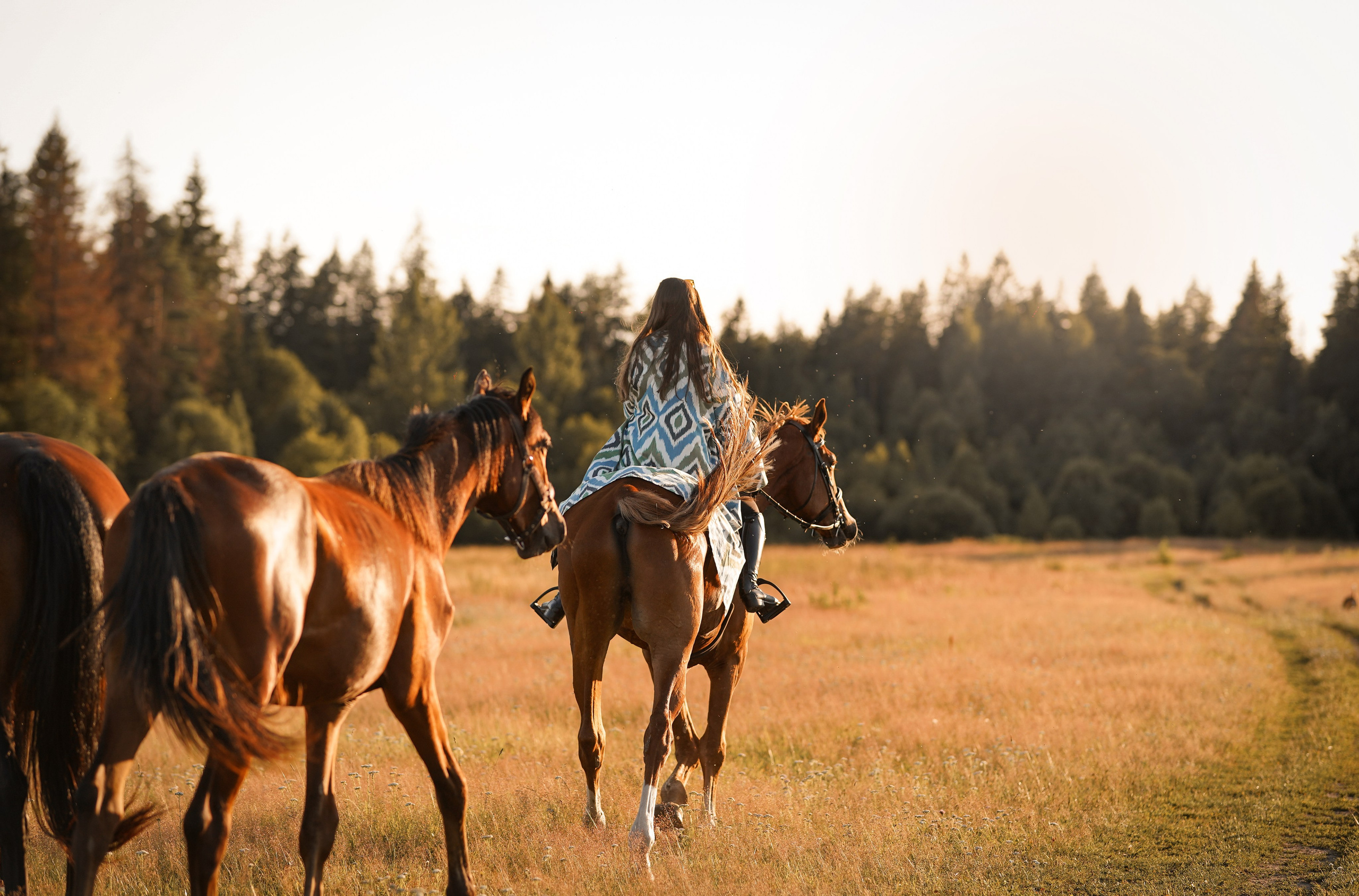 Лера Джон и Диамант. Фотограф-анималист в Санкт-Петербурге Яна Мартынова