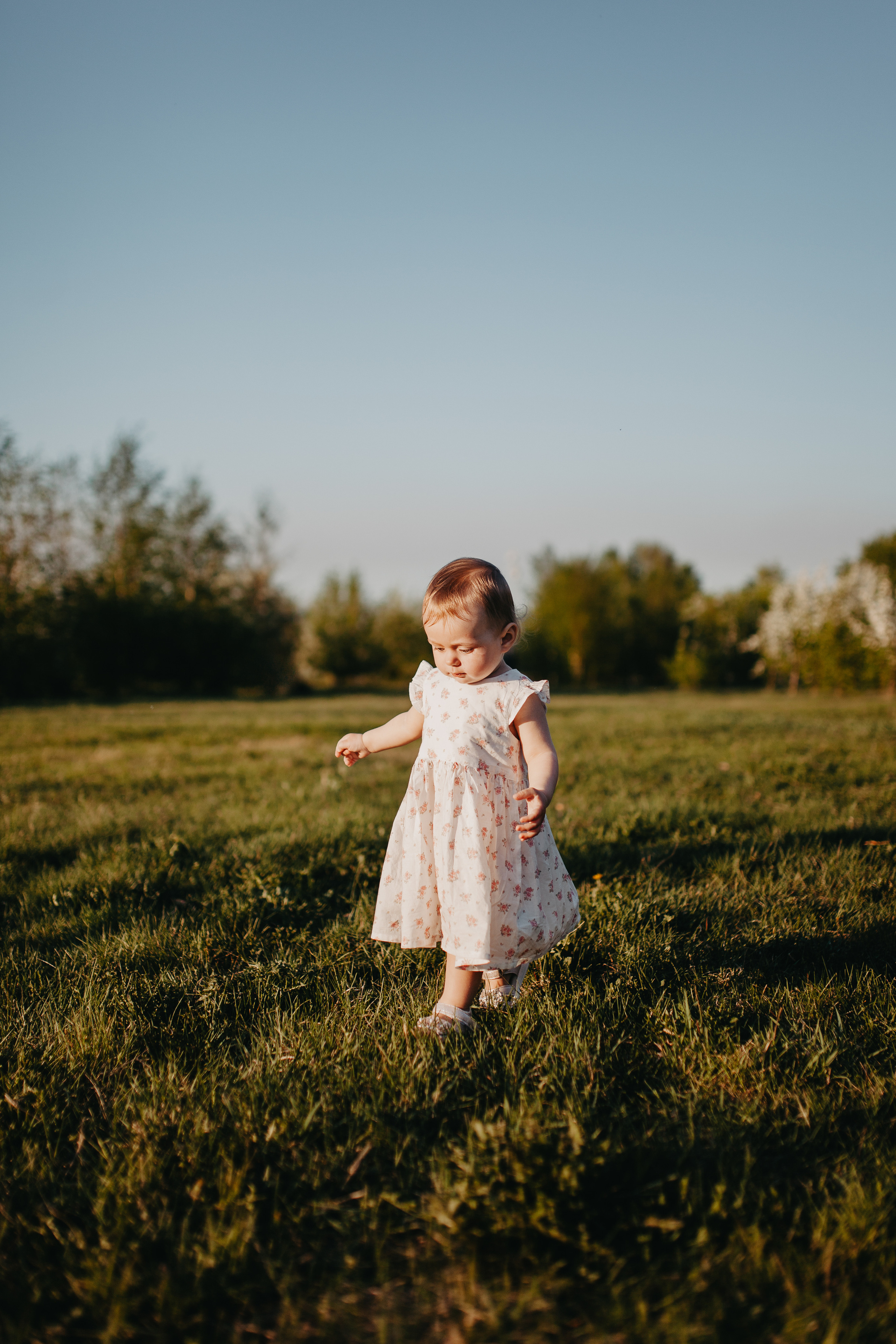 Закаты в яблоневом саду. Фотограф Шелудкова Яна, город Тюмень