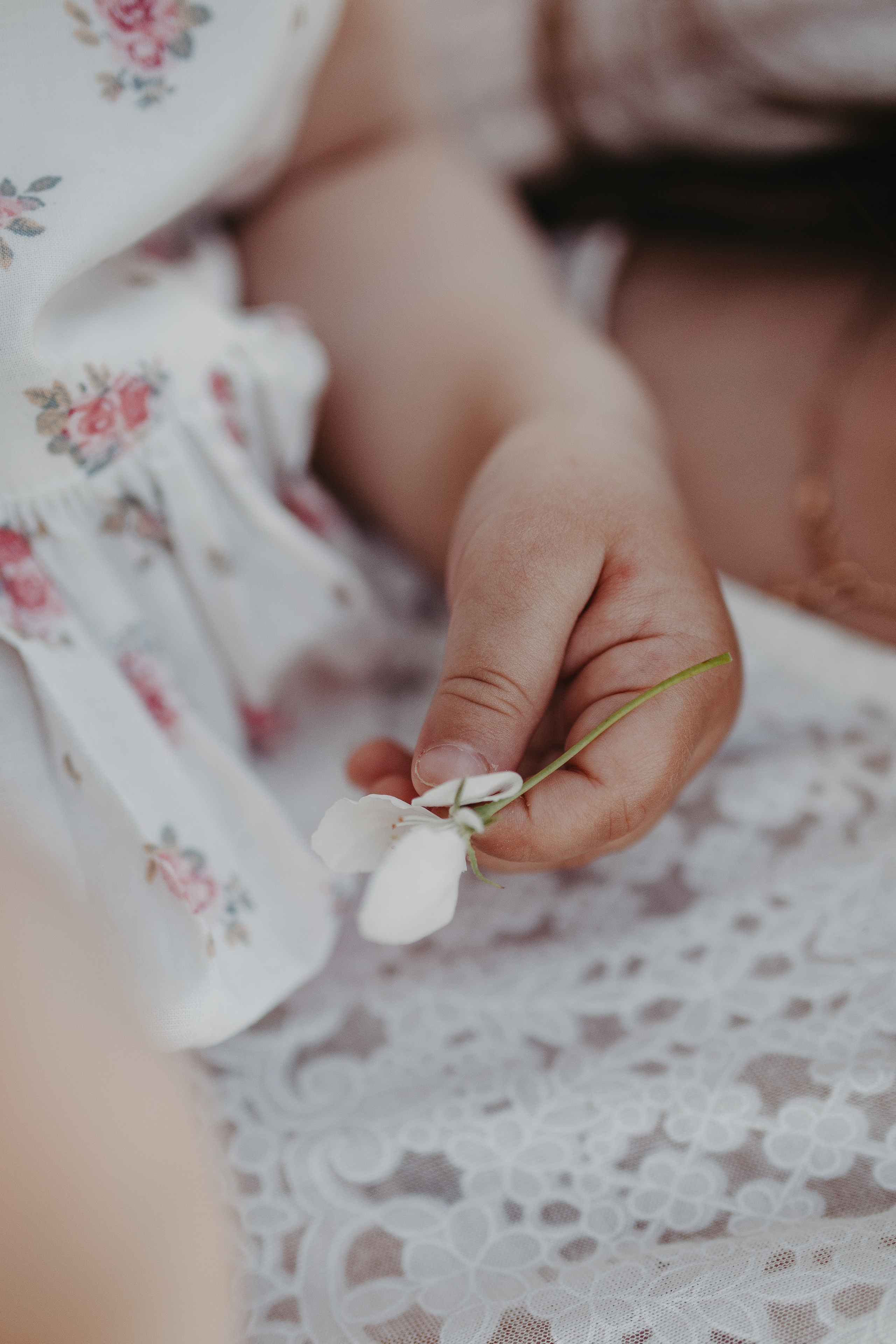 Закаты в яблоневом саду. Фотограф Шелудкова Яна, город Тюмень
