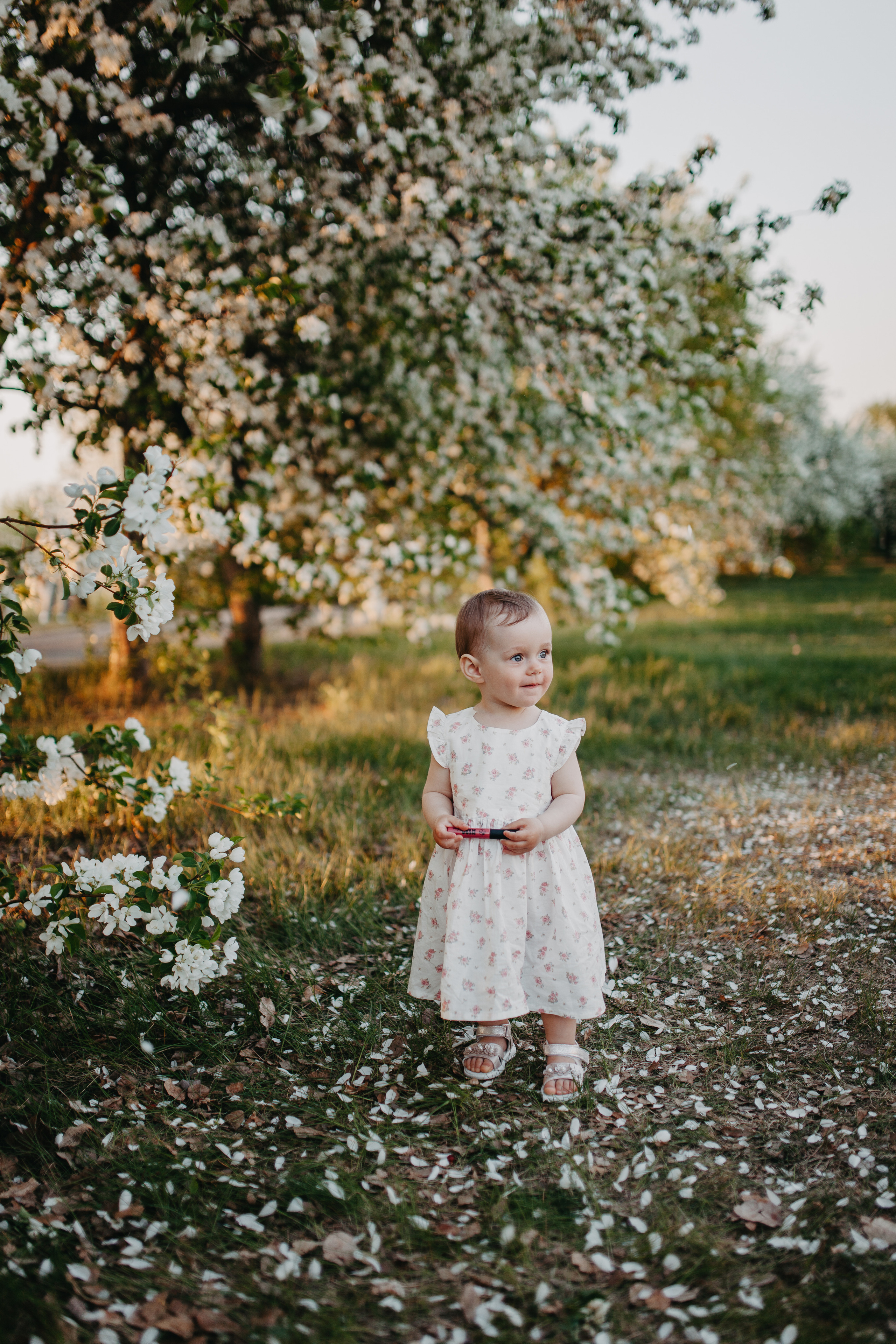 Закаты в яблоневом саду. Фотограф Шелудкова Яна, город Тюмень