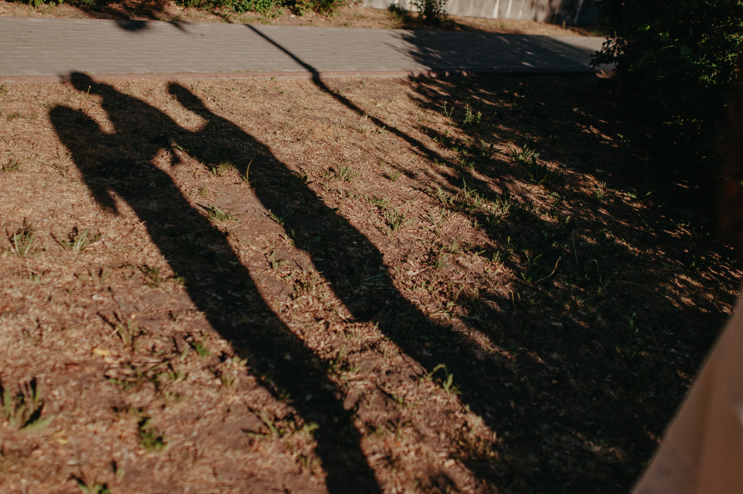 Летний вечер. Фотограф Шелудкова Яна, город Тюмень