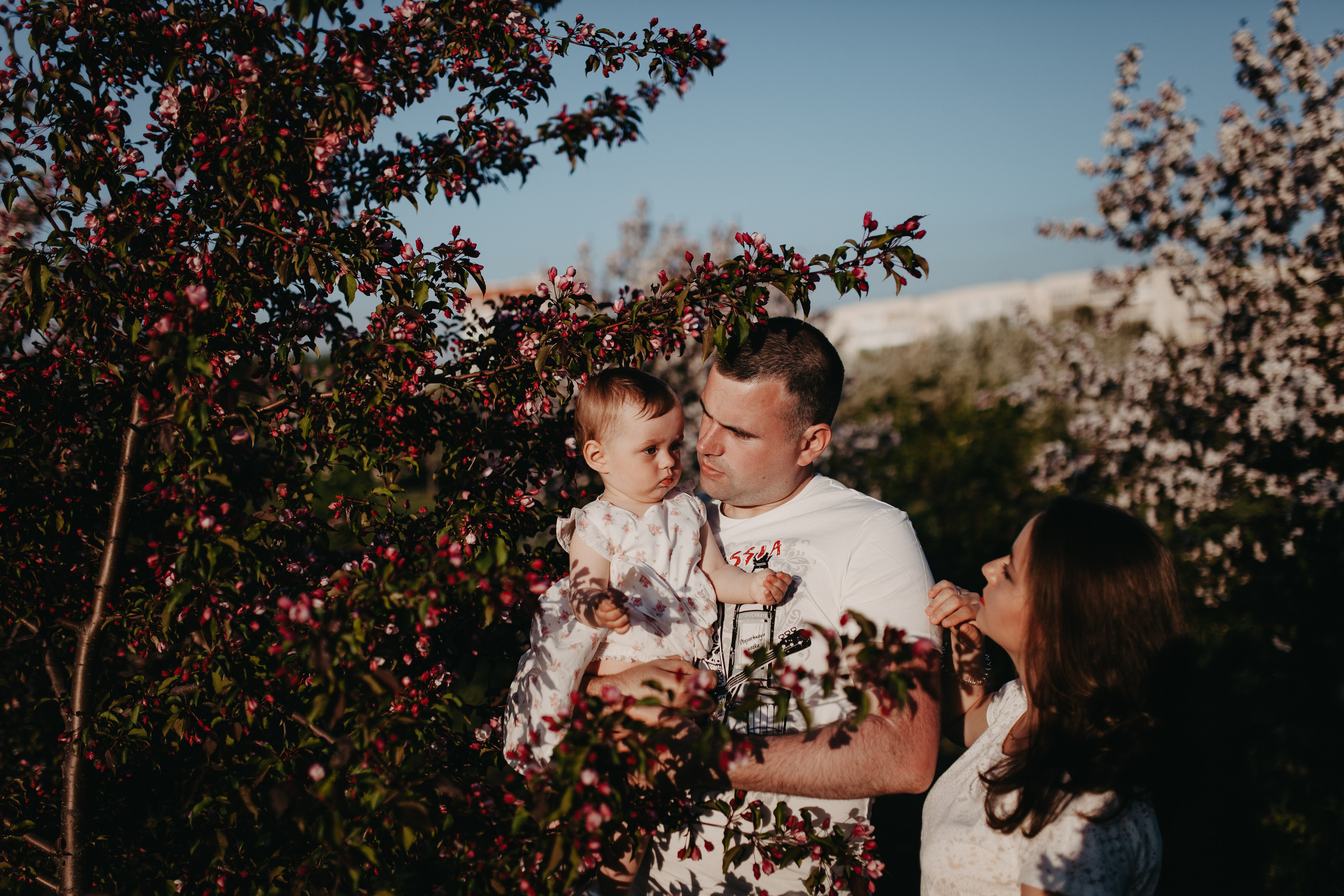 Закаты в яблоневом саду. Фотограф Шелудкова Яна, город Тюмень