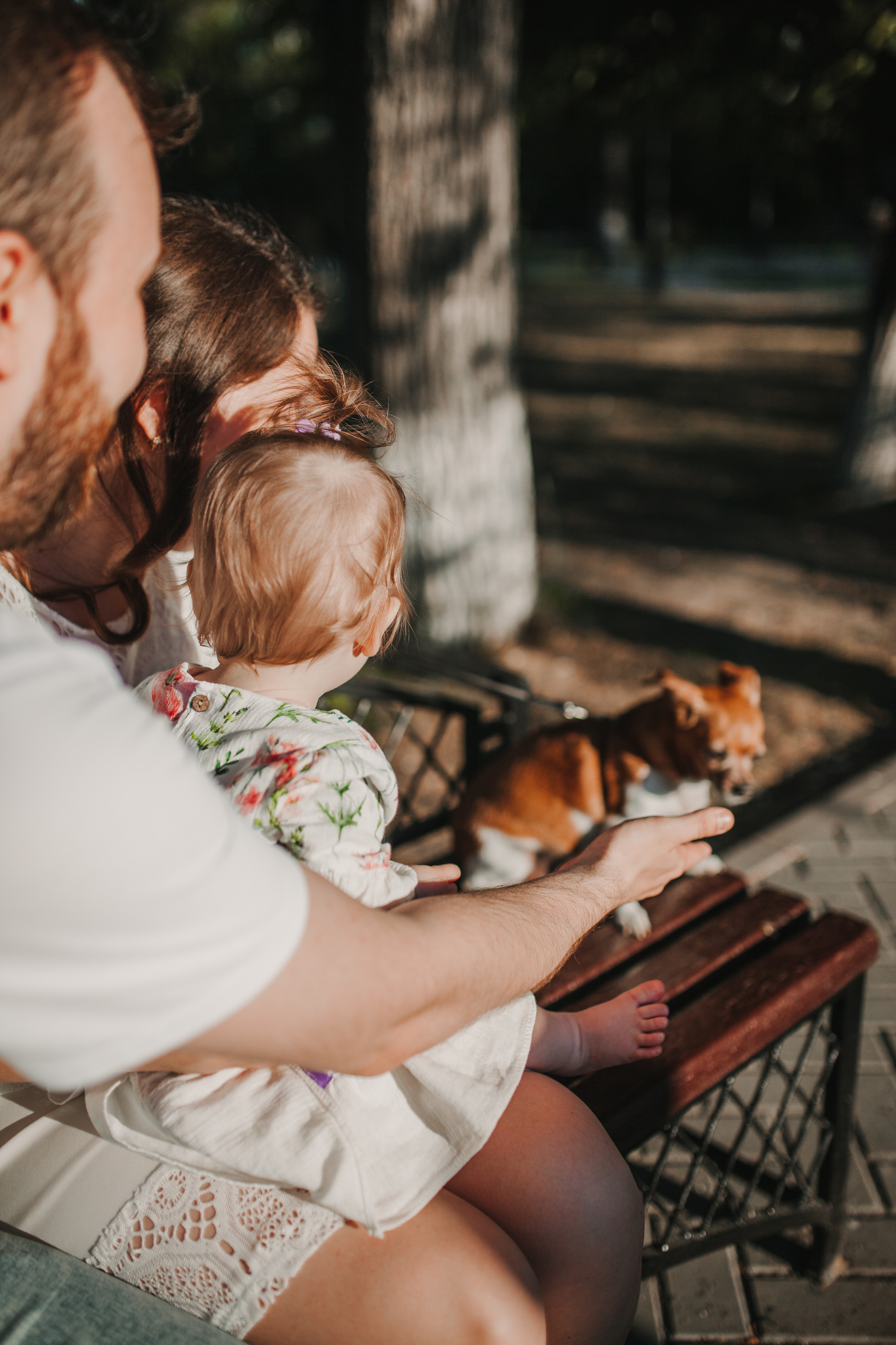 Летний вечер. Фотограф Шелудкова Яна, город Тюмень