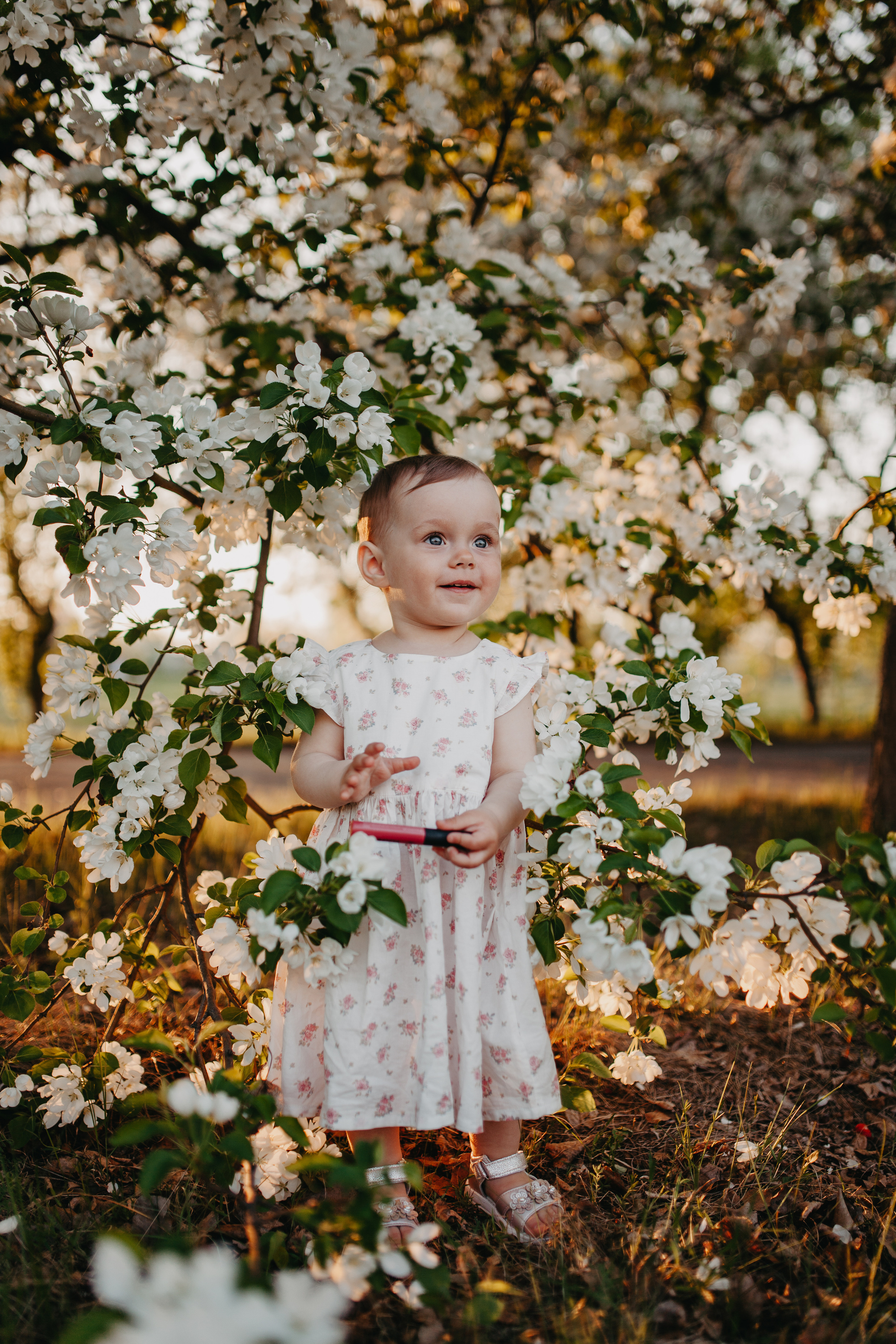 Закаты в яблоневом саду. Фотограф Шелудкова Яна, город Тюмень