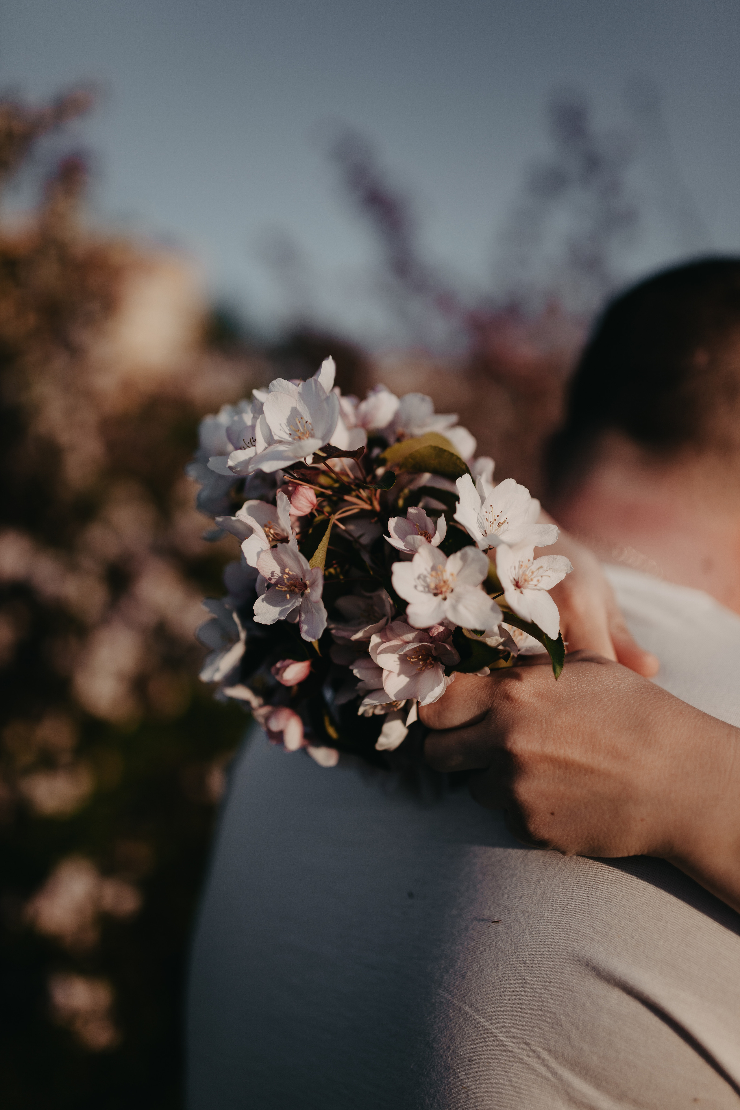 Закаты в яблоневом саду. Фотограф Шелудкова Яна, город Тюмень