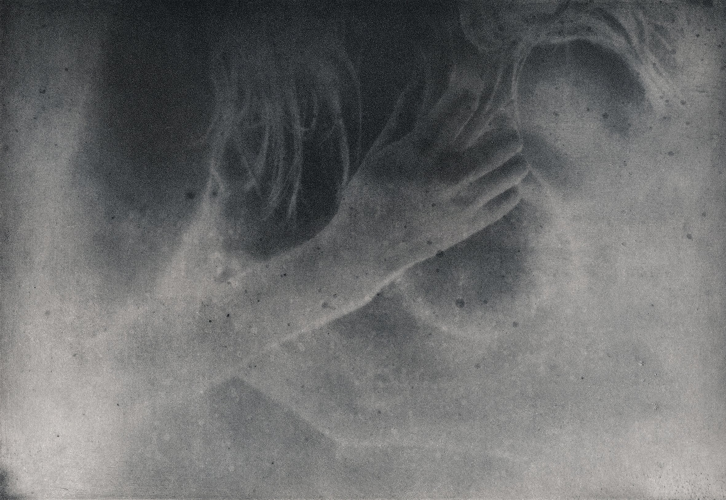 Проект «Black Cloud» Джули ван дер Ваарт. Private image