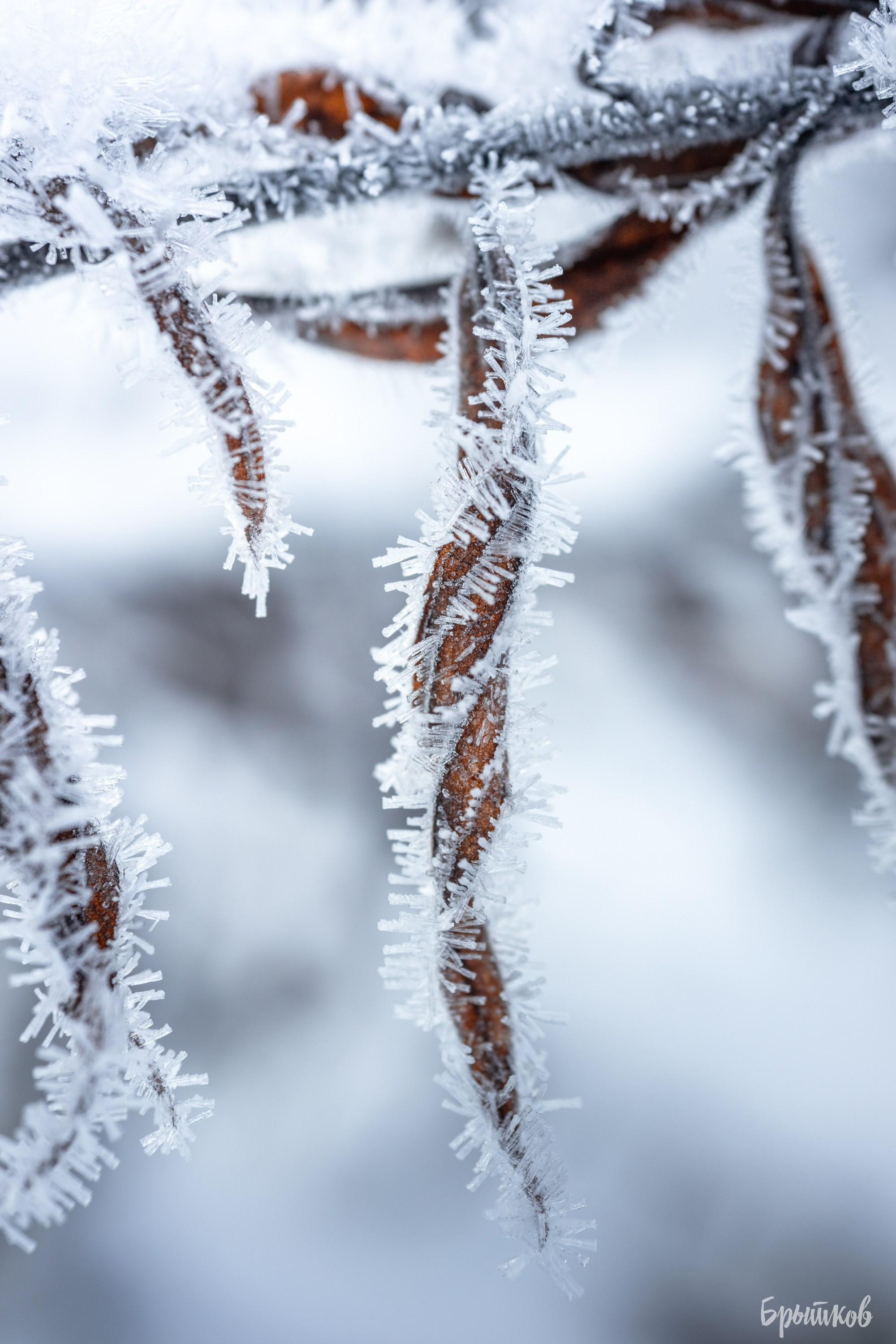 озеро Бам Суворов карьеры Брытков Николай