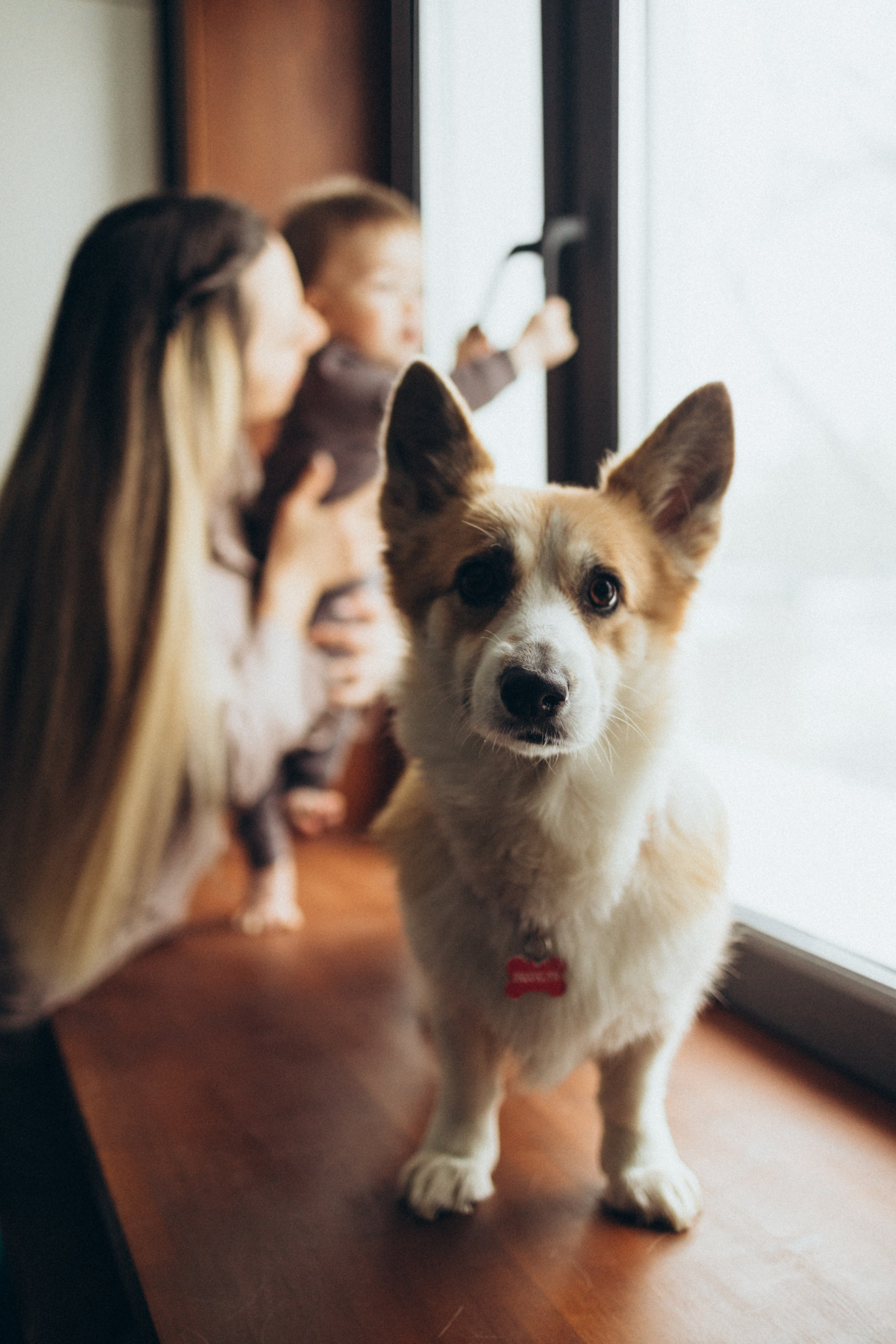 Годовасие. Фотограф Валерия Ковпак. Москва. Химки. Куркино