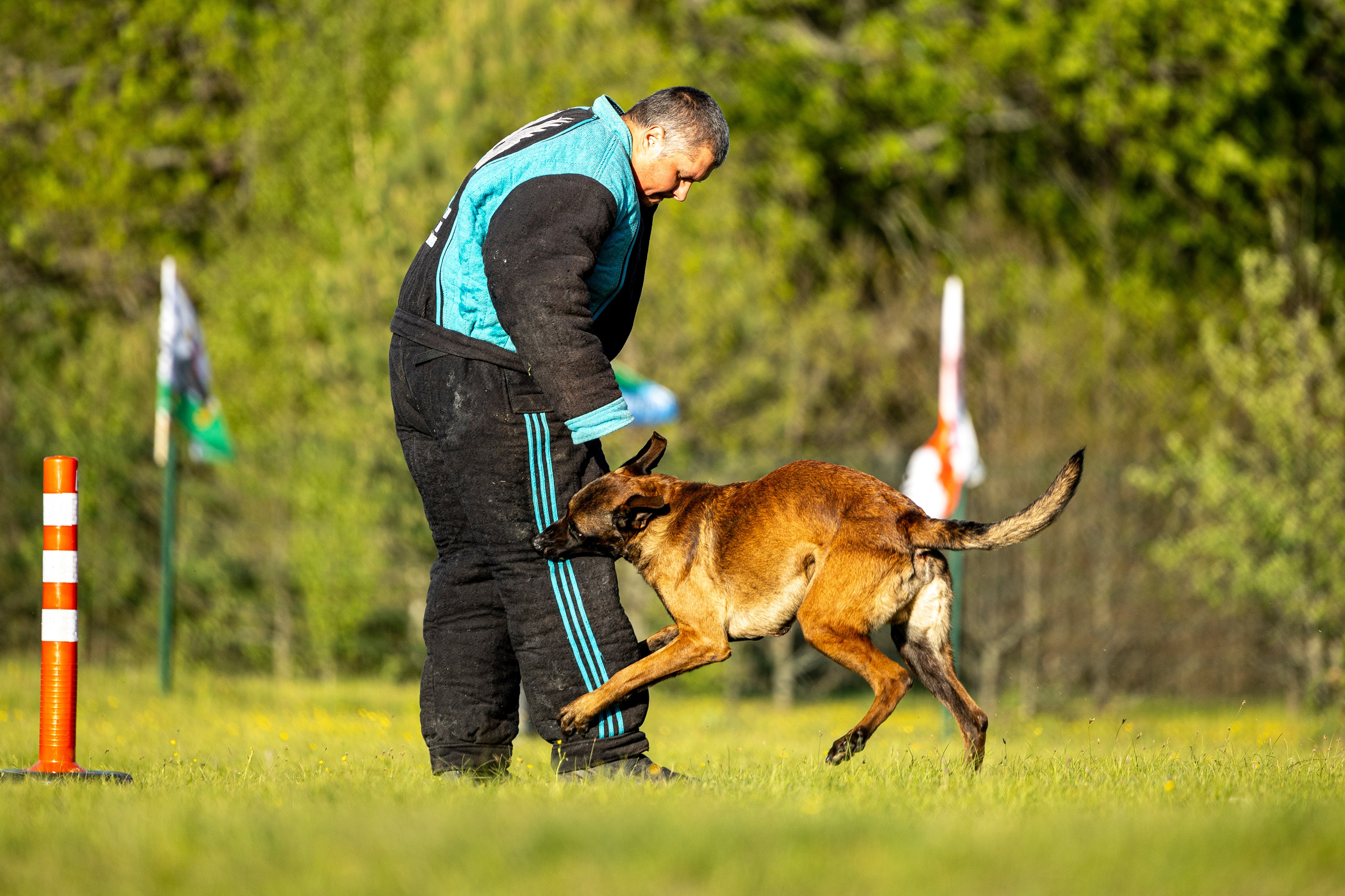 Испытания по мондьорингу в Нижнем Новгороде. Фотограф-анималист Анна Маринич