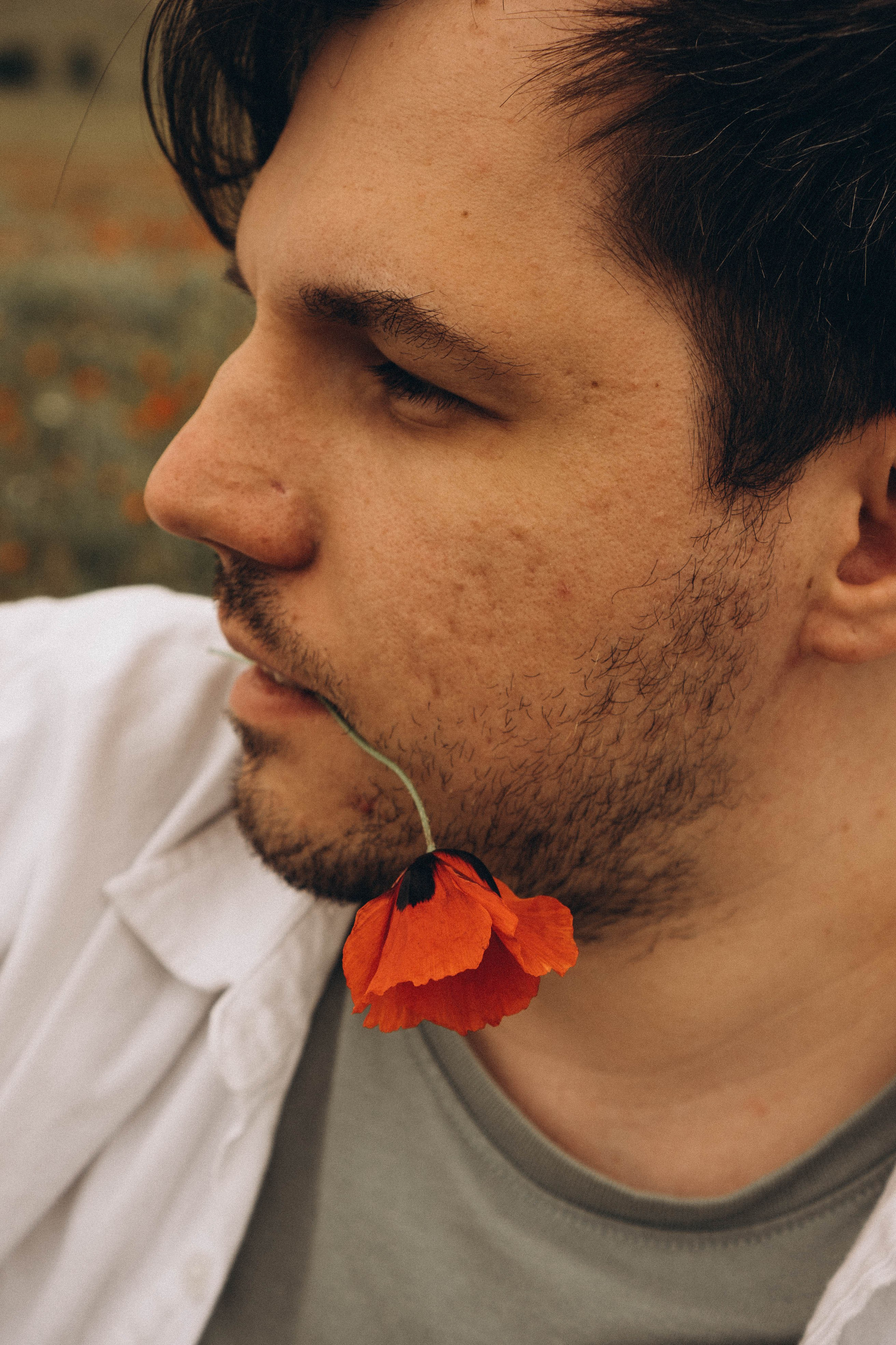 Маки. Профессиональный фотограф, Санкт-Петербург — Виктория Богомолова