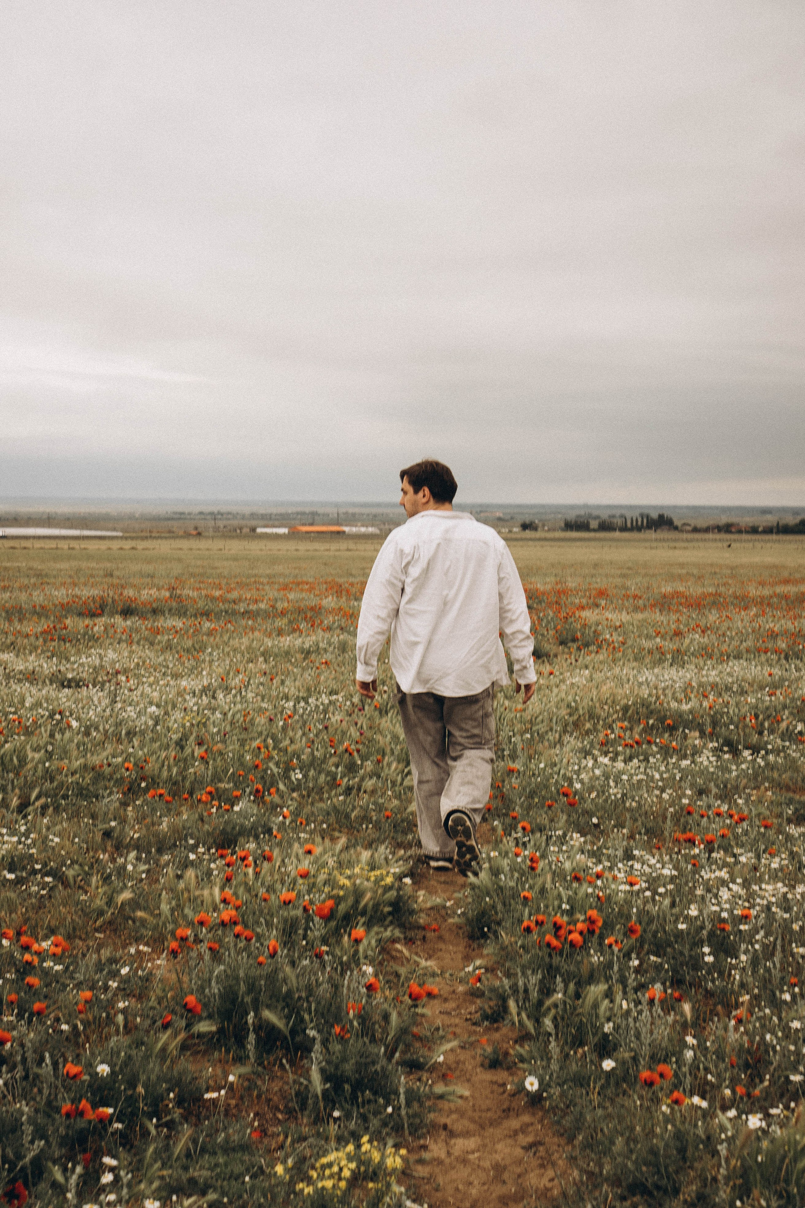 Маки. Профессиональный фотограф, Санкт-Петербург — Виктория Богомолова
