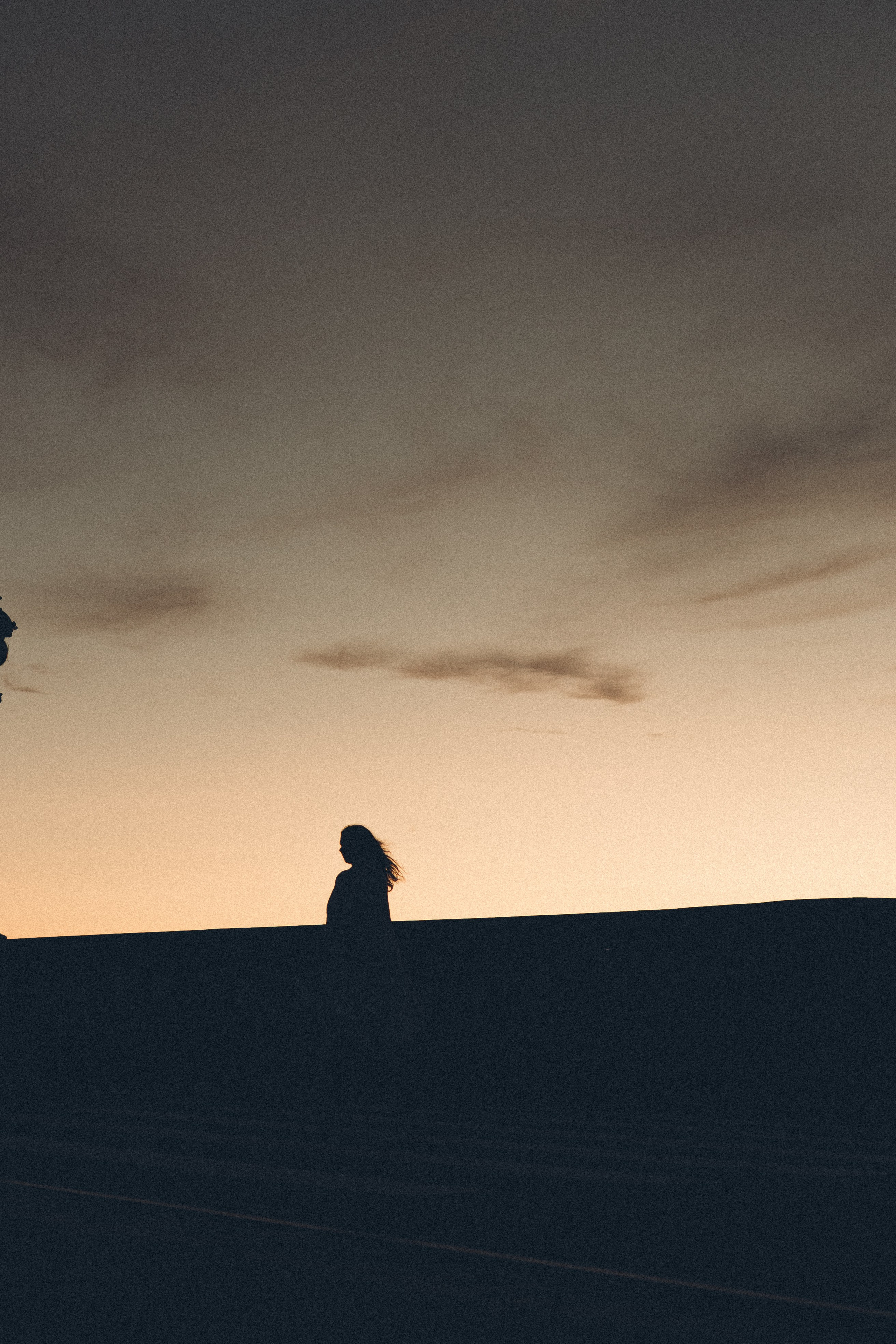 РАССВЕТ С РАЗВОДНЫМИ МОСТАМИ. Профессиональный фотограф, Санкт-Петербург — Виктория Богомолова