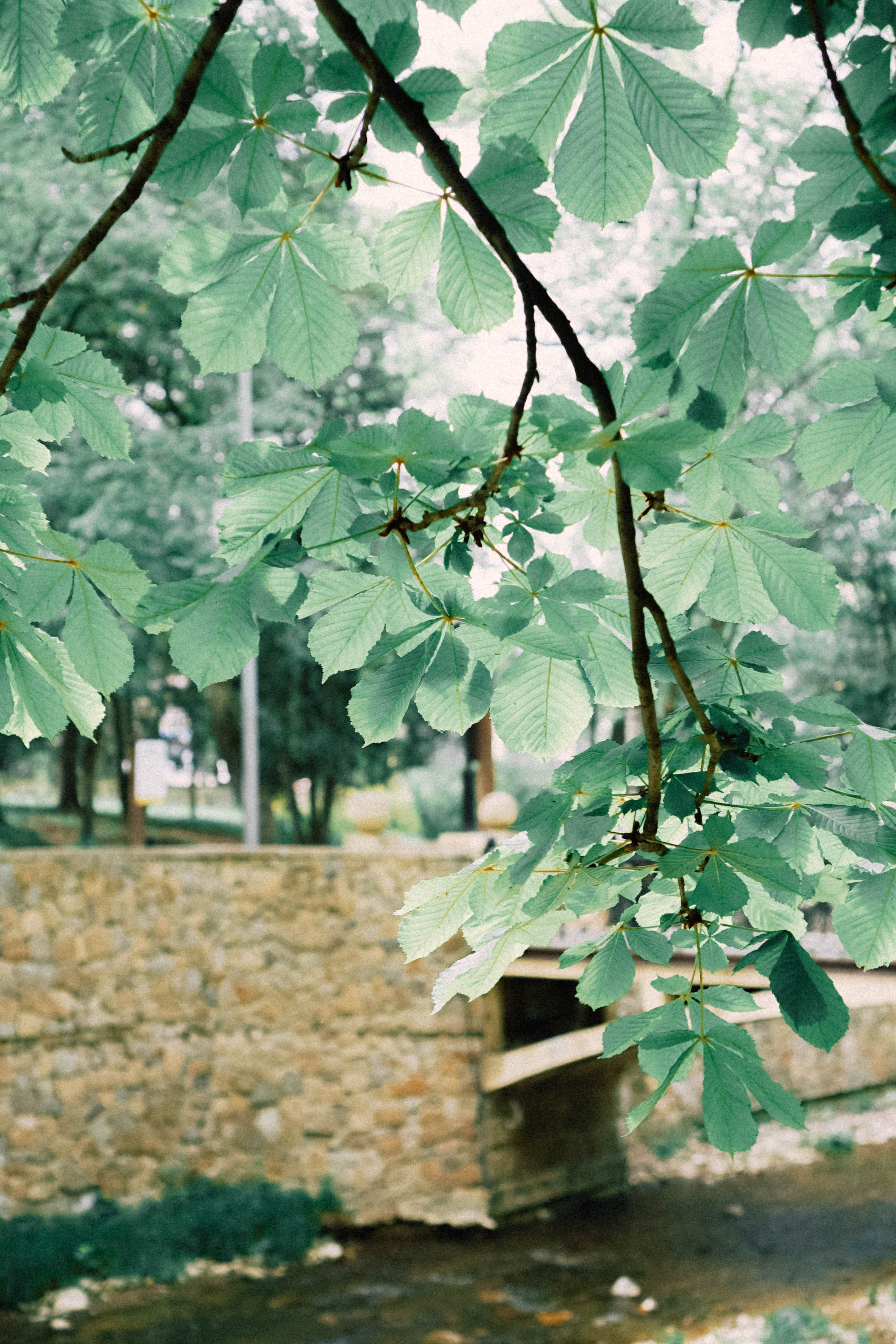 КИСЛОВОДСК. Профессиональный фотограф, Санкт-Петербург — Виктория Богомолова