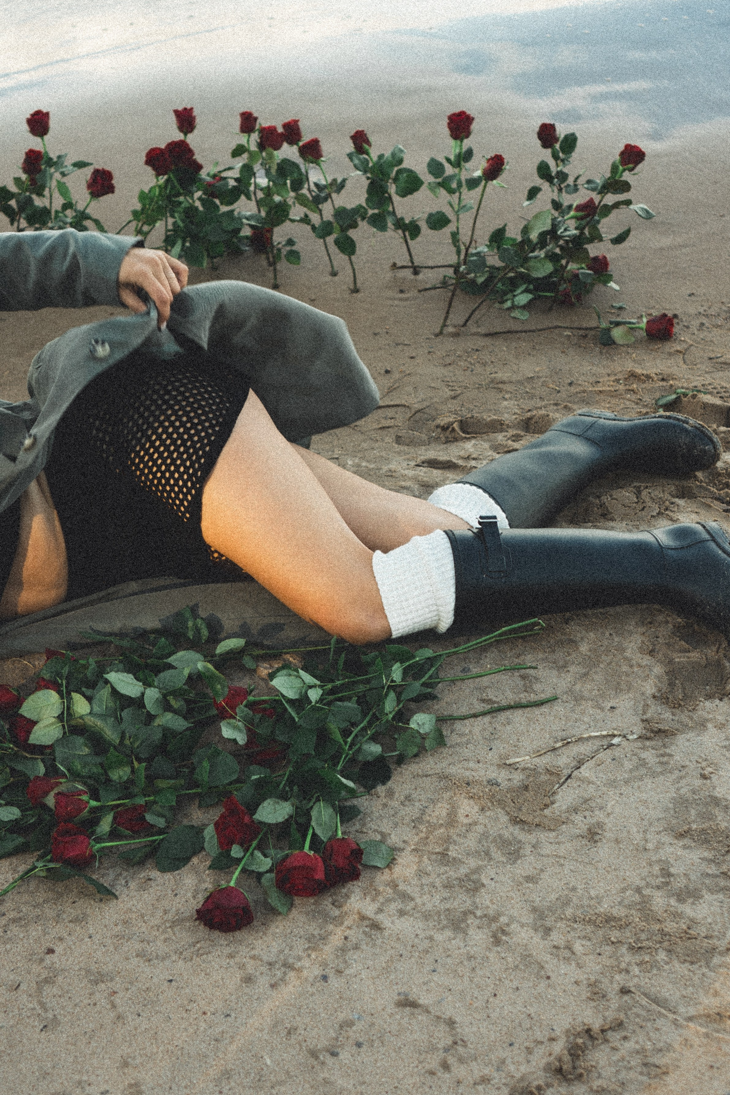 Розы. Профессиональный фотограф, Санкт-Петербург — Виктория Богомолова