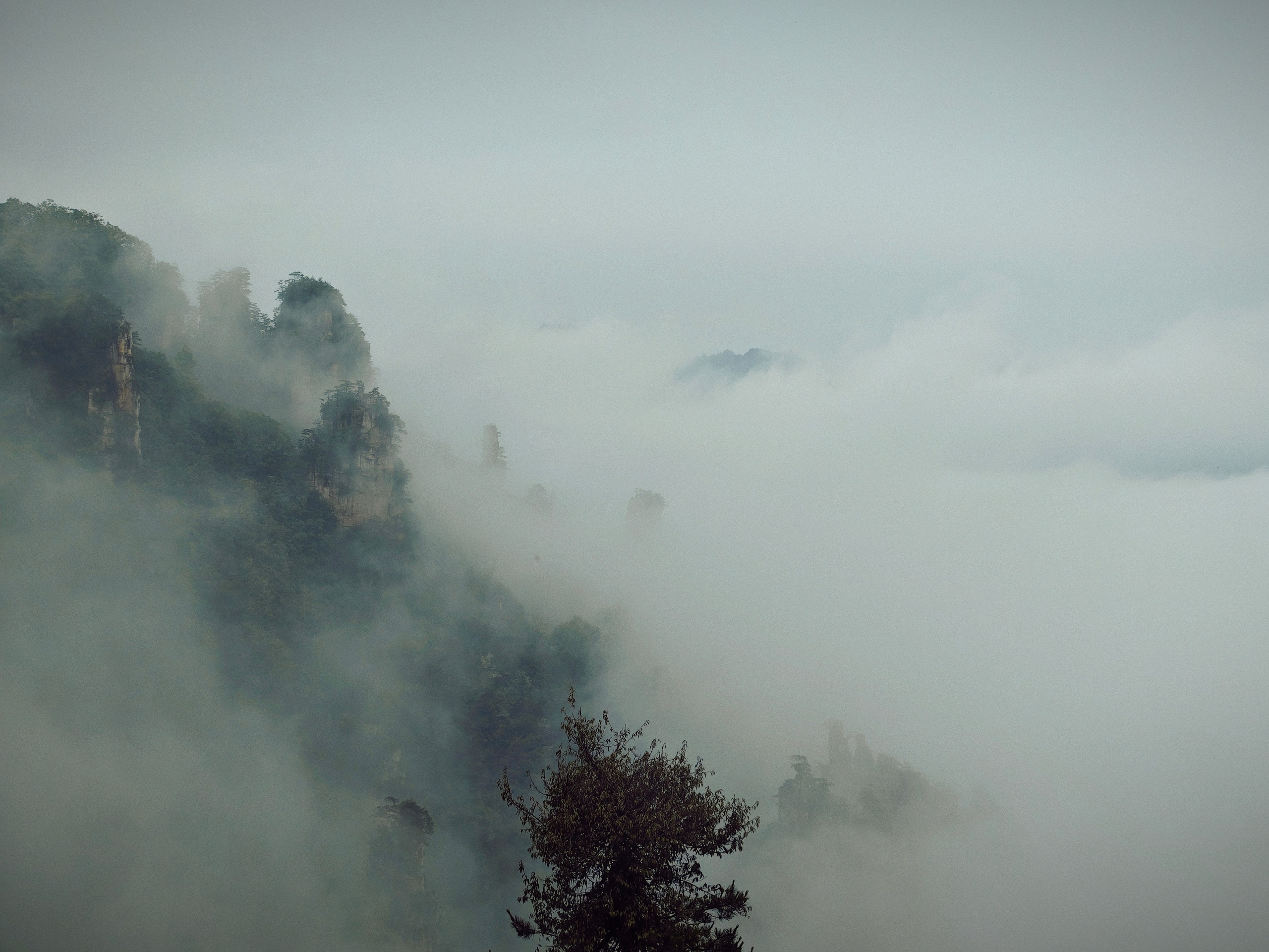 The Great Journey to China. Brjankin.com