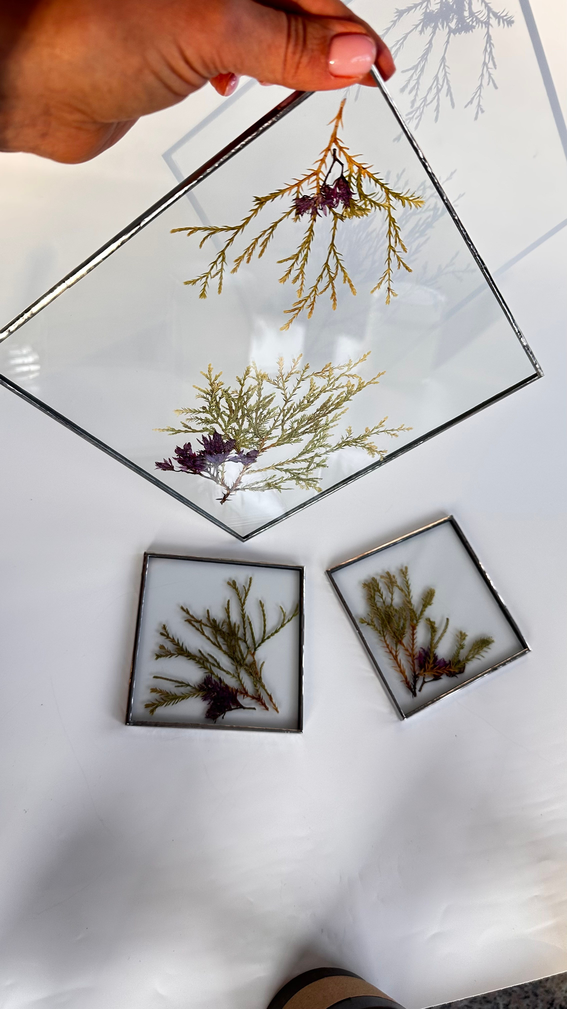 Гербарий в стекле с сухоцветами (витраж в технике тиффани). Гербарий в стекле, интерьерные панно, витражи с сухоцветами в технике тиффани