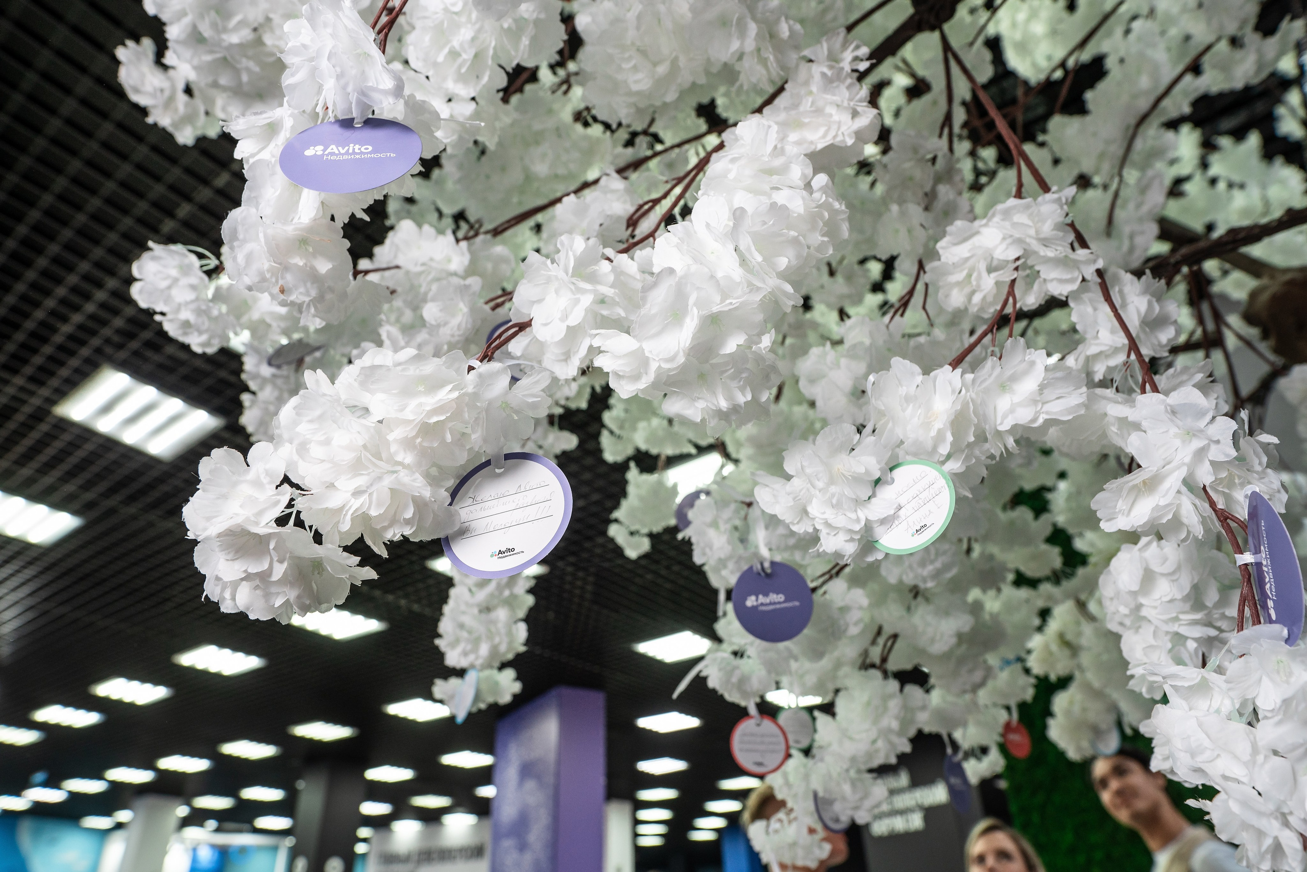 Форум Движение фотоотчет. Фотограф Сочи