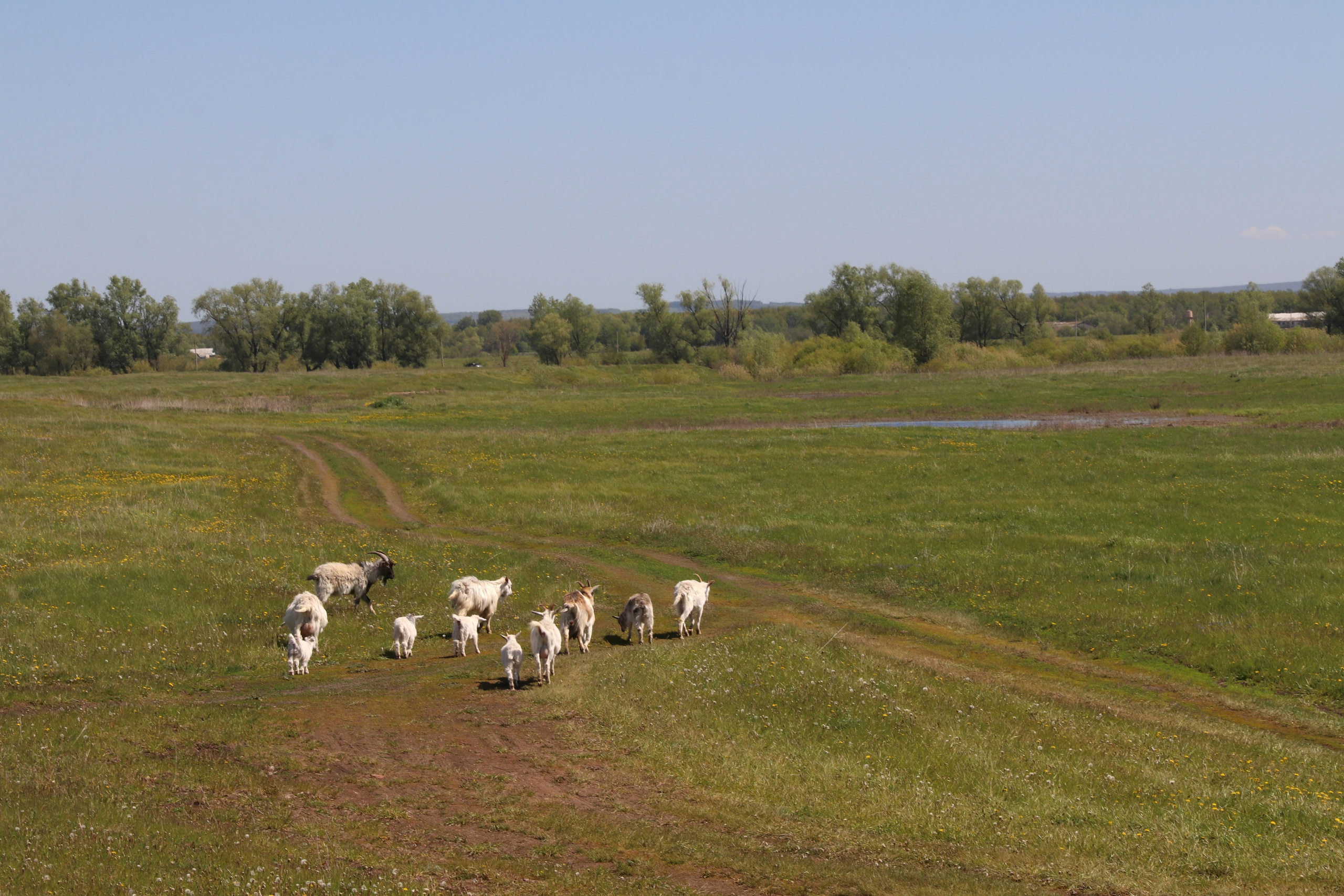 Велопоход Уфа — Мелеуз. Май 2024. Путешественник-фотограф из Санкт-Петербурга Татьяна Свистулина