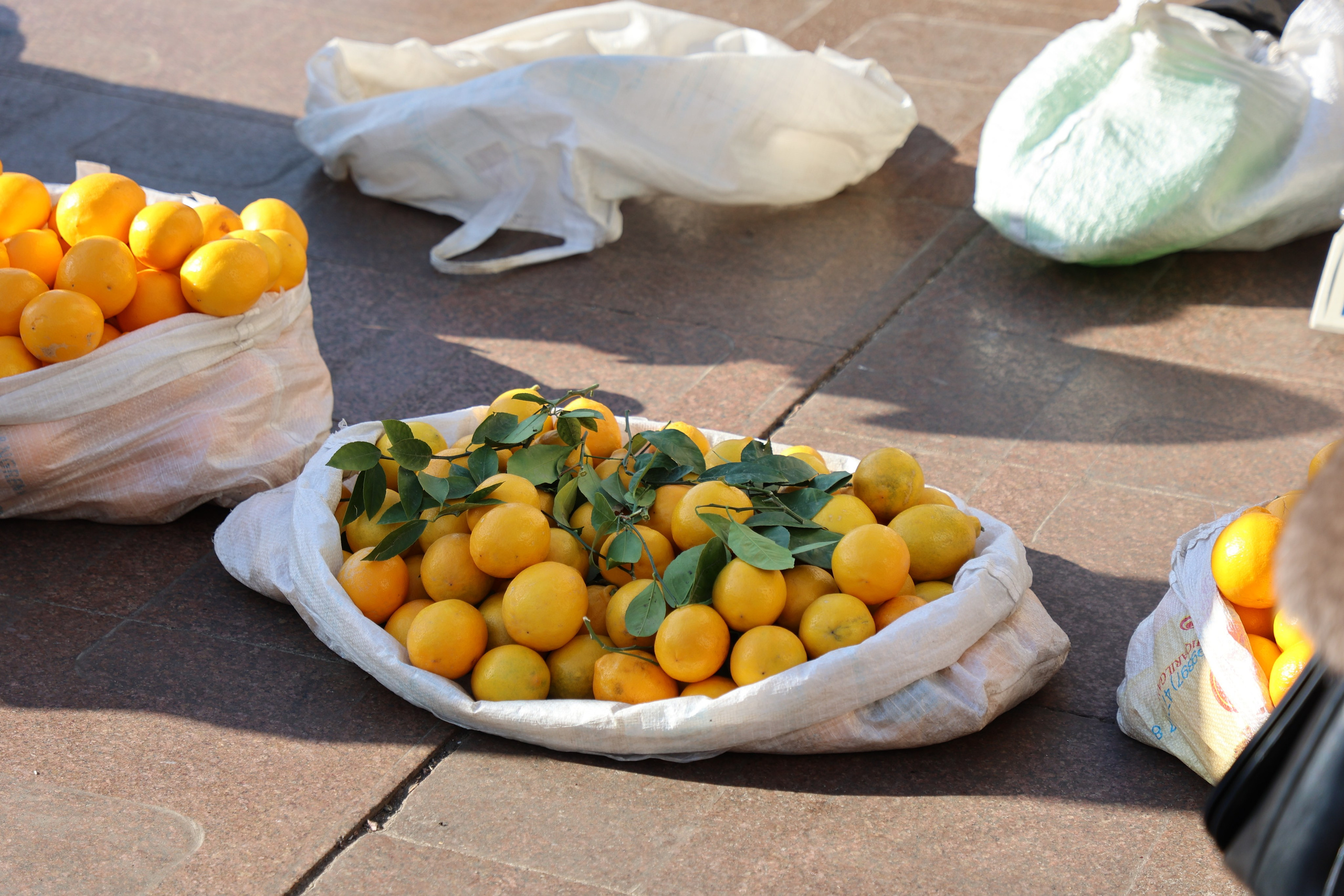 Tashkent, Uzbekistan. Andrey Filippov Photographer