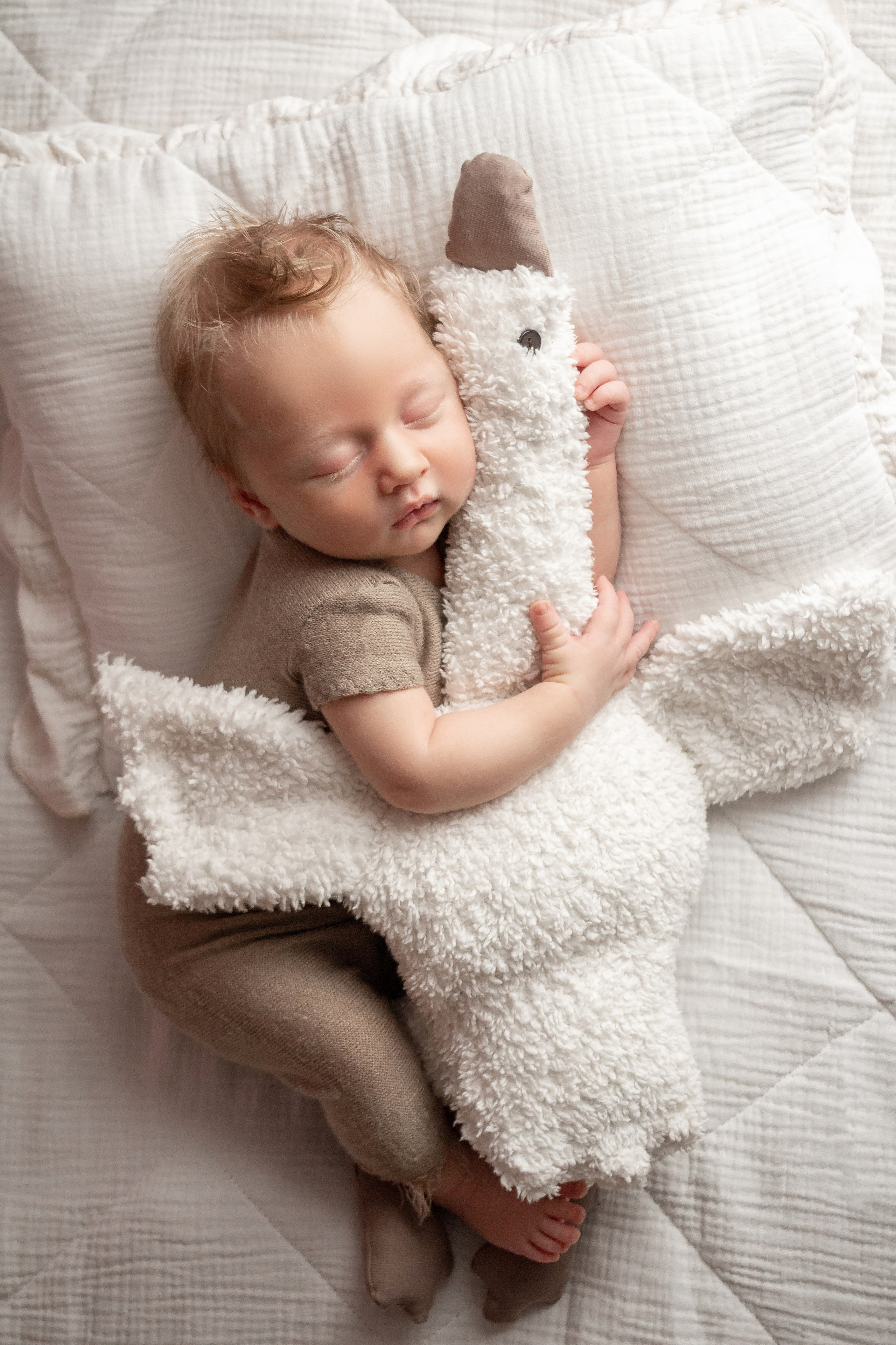 Натуральный стиль newborn. Фотограф новорождённых Анапа Елена Кушнарь