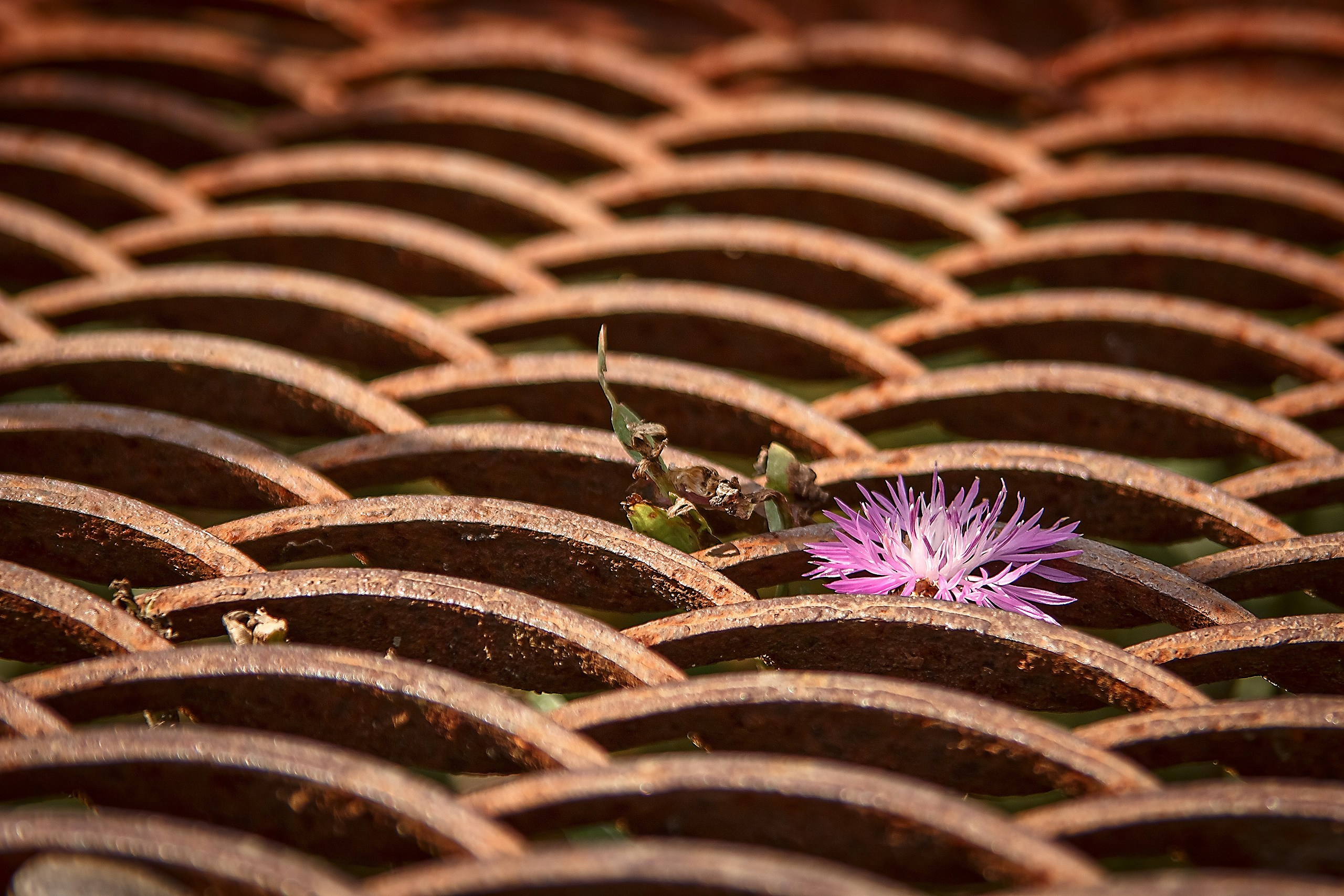 Границы и Рамки. Аmat Victoria Сuram
