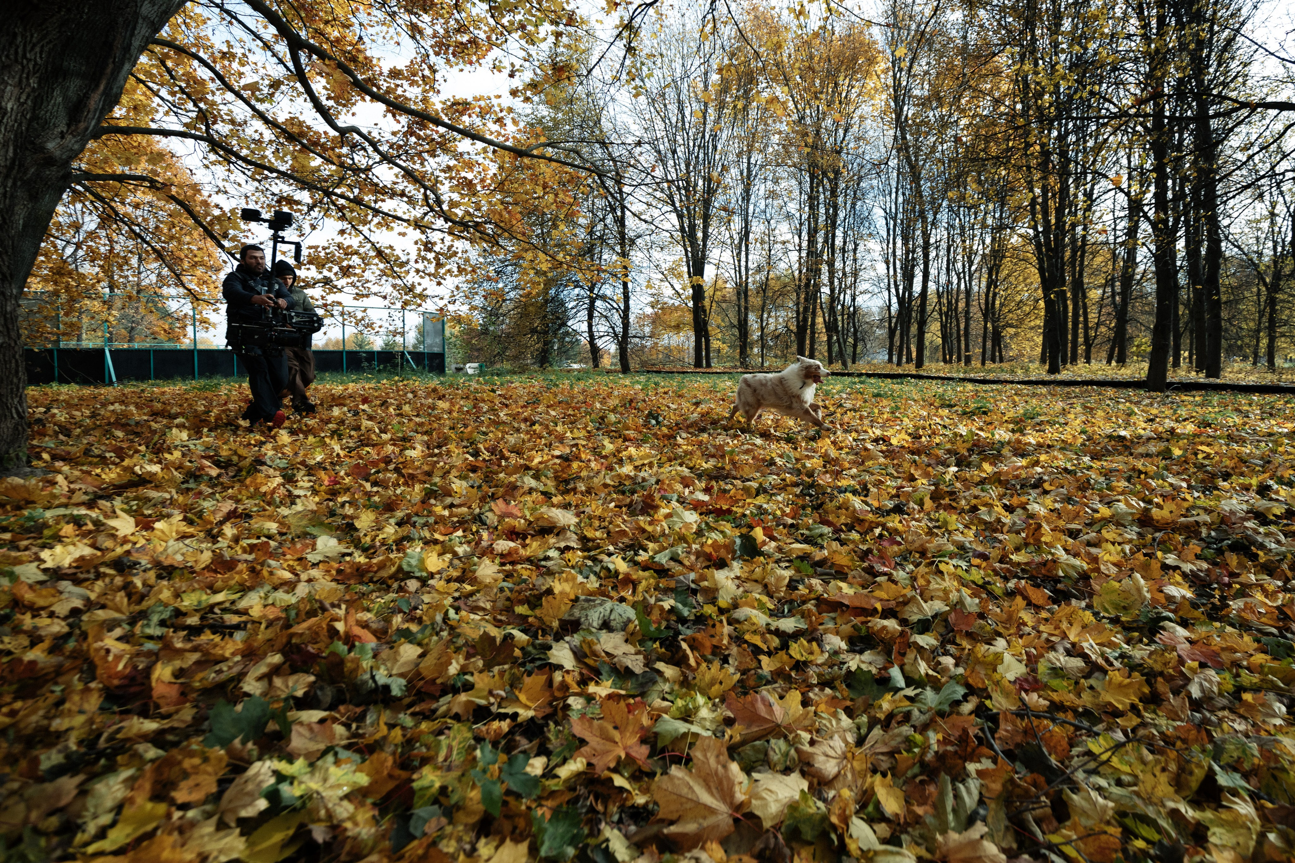 AUDI. Вадим Ветров