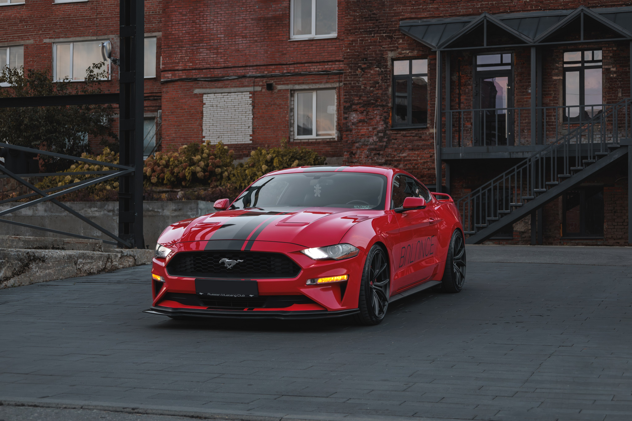 Mustang. Мелехов Дмитрий|Фотограф|Видеограф