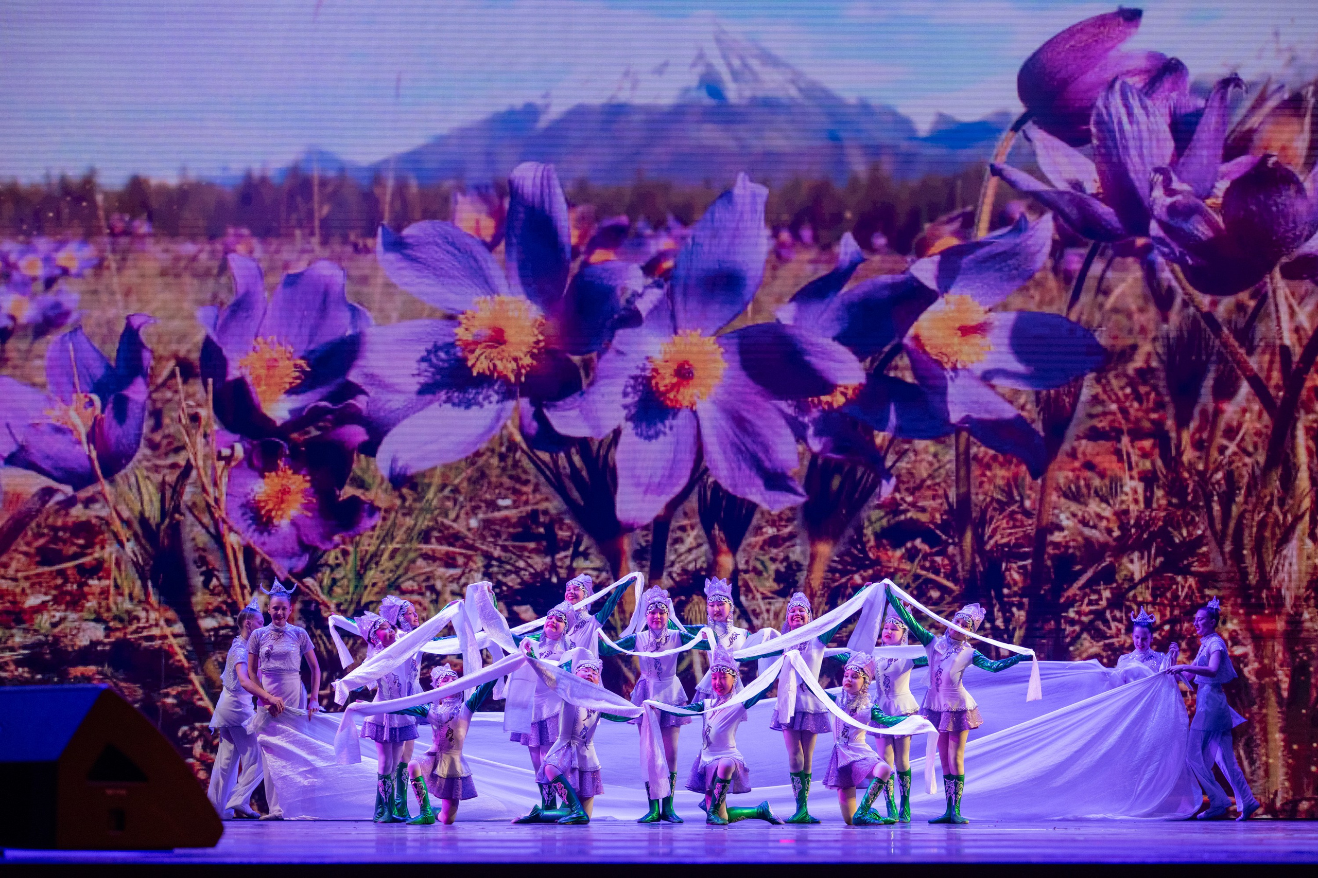 18 мая, г. Москва, Кремль, Концерт. Золотое яблочко