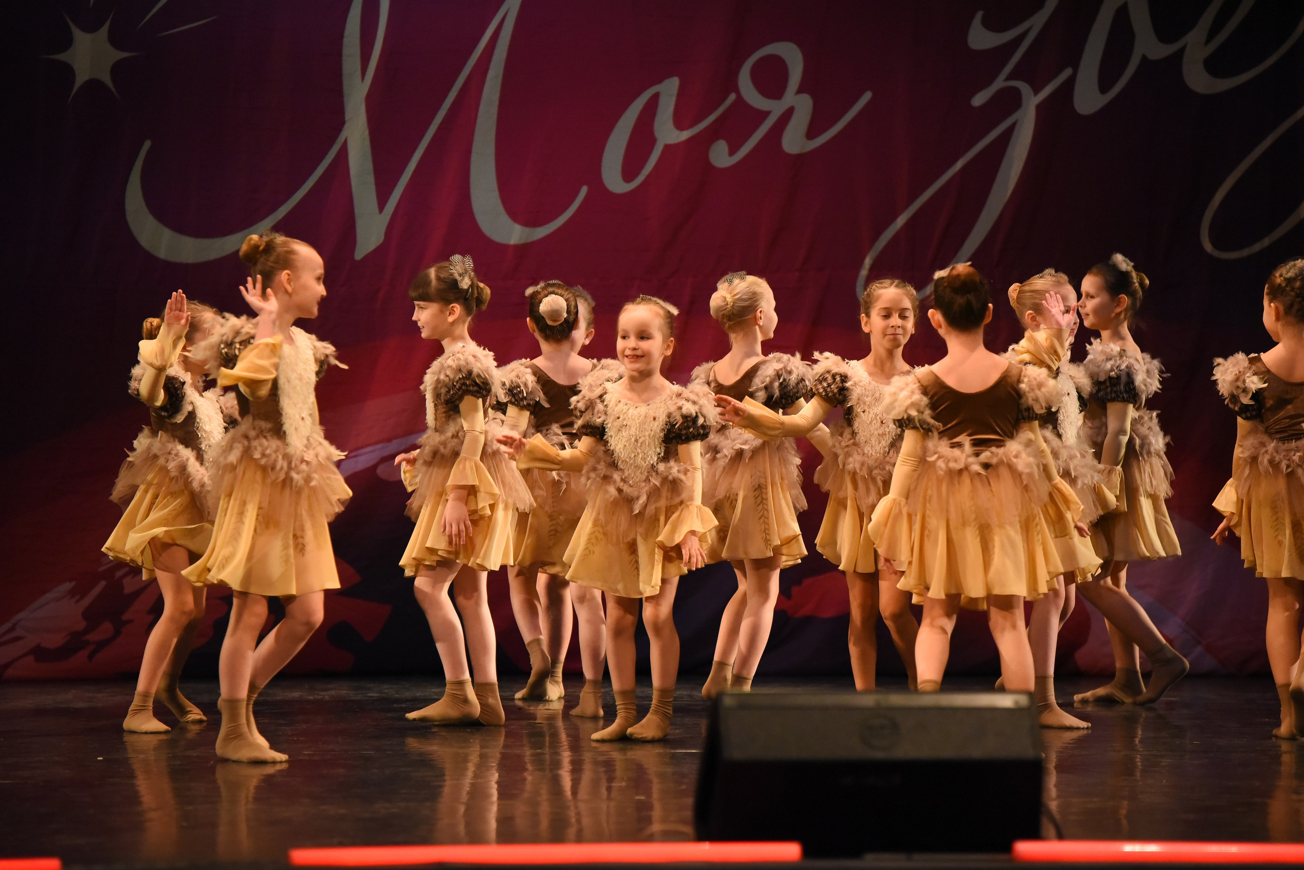 13 декабря, г. Калининград. Золотое яблочко