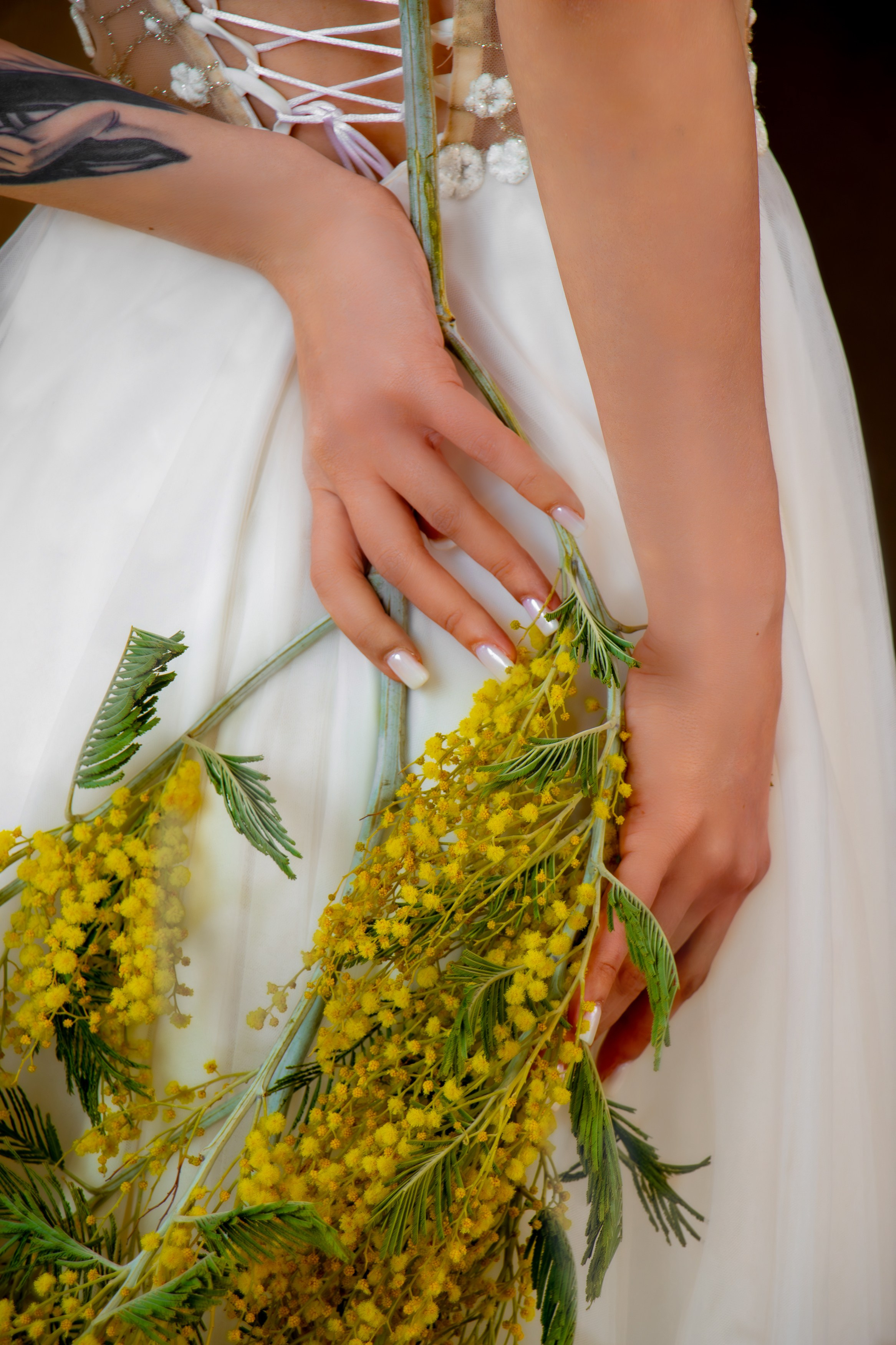 Анна в мимозе. Фотограф Татьяна Матрос