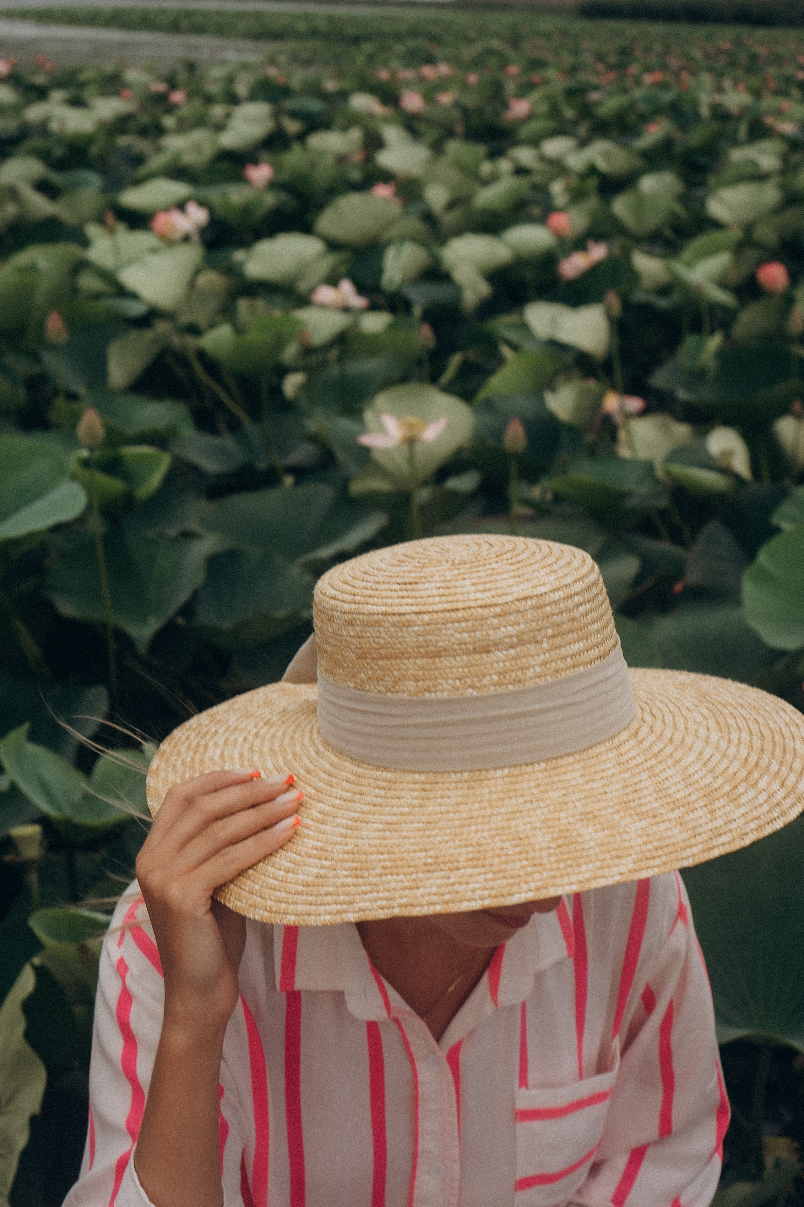 ЛОТОСОВАЯ ПОЛЯНА. Профессиональный фотограф, Санкт-Петербург — Виктория Богомолова
