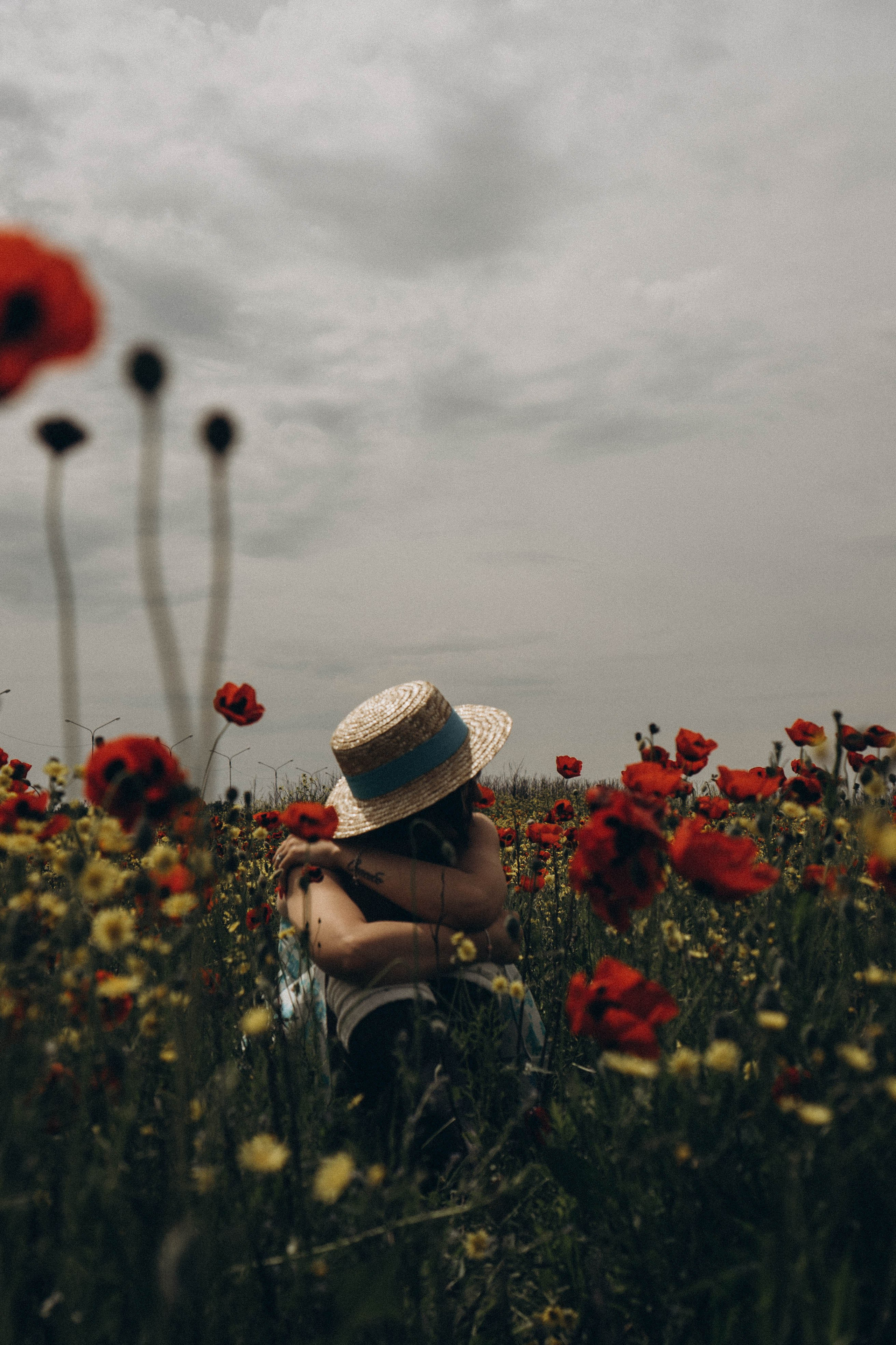 Цветочная поляна. Профессиональный фотограф, Санкт-Петербург — Виктория Богомолова