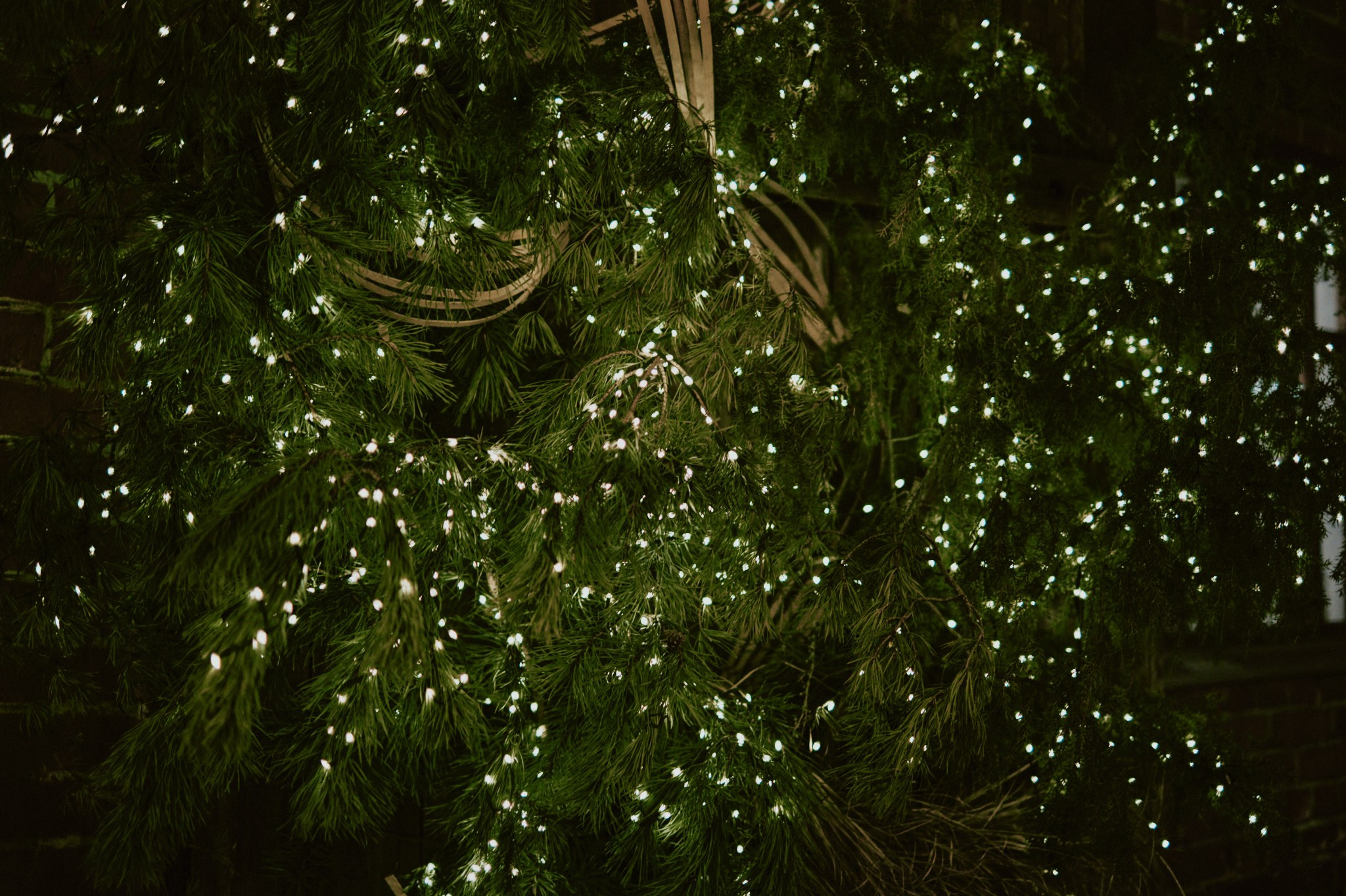 Dance.Party.Spring. Фотограф Аннё| Москва