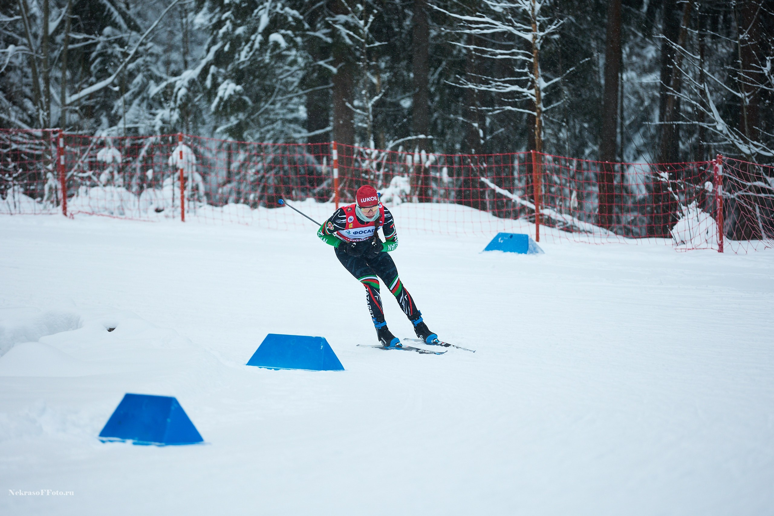 Кубок России по Лыжным гонкам. Спортивный фотограф Некрасов Денис