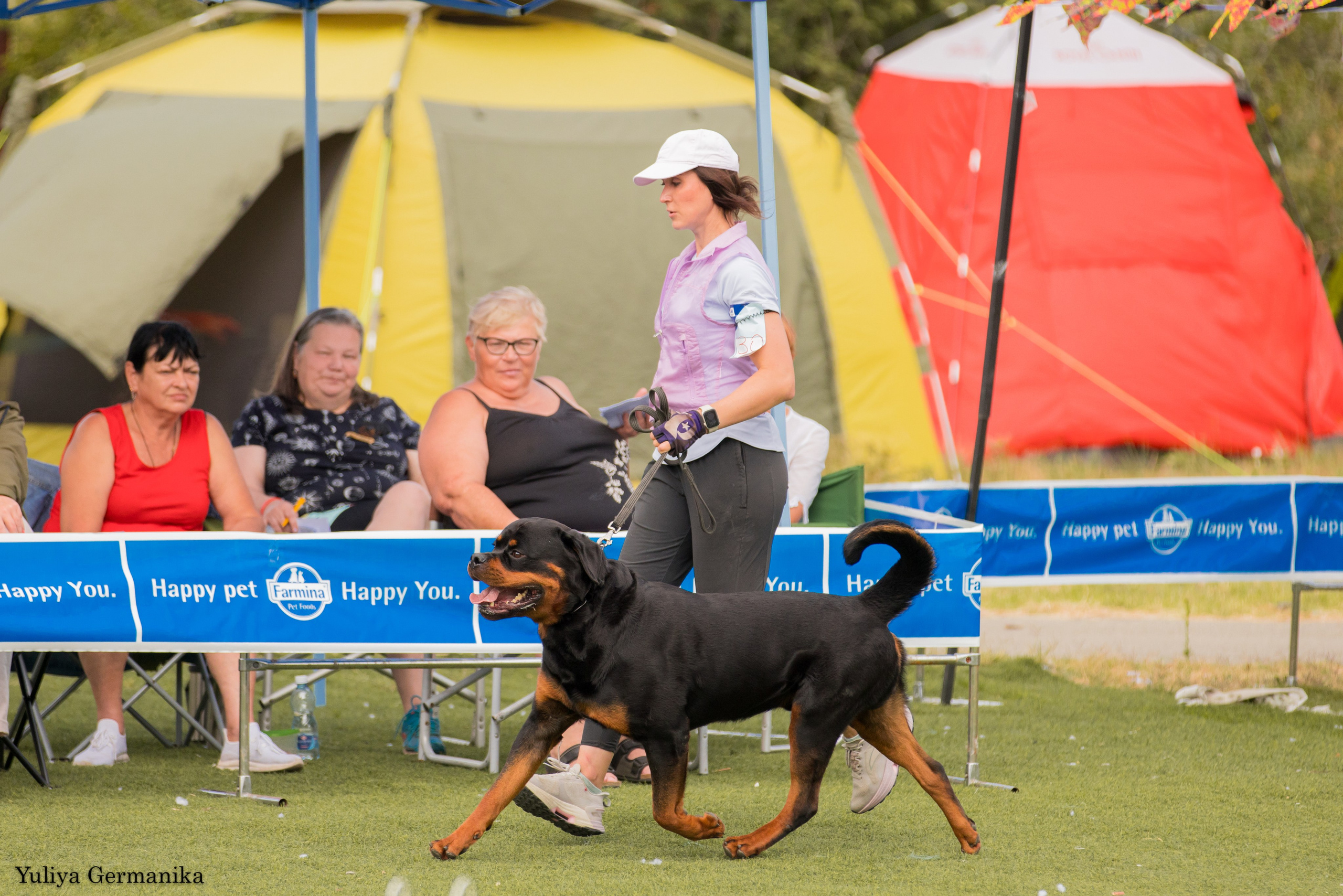 Анапа 16-17.09.2023 моно ротвейлеров. Фотограф-анималист Юлия Германика