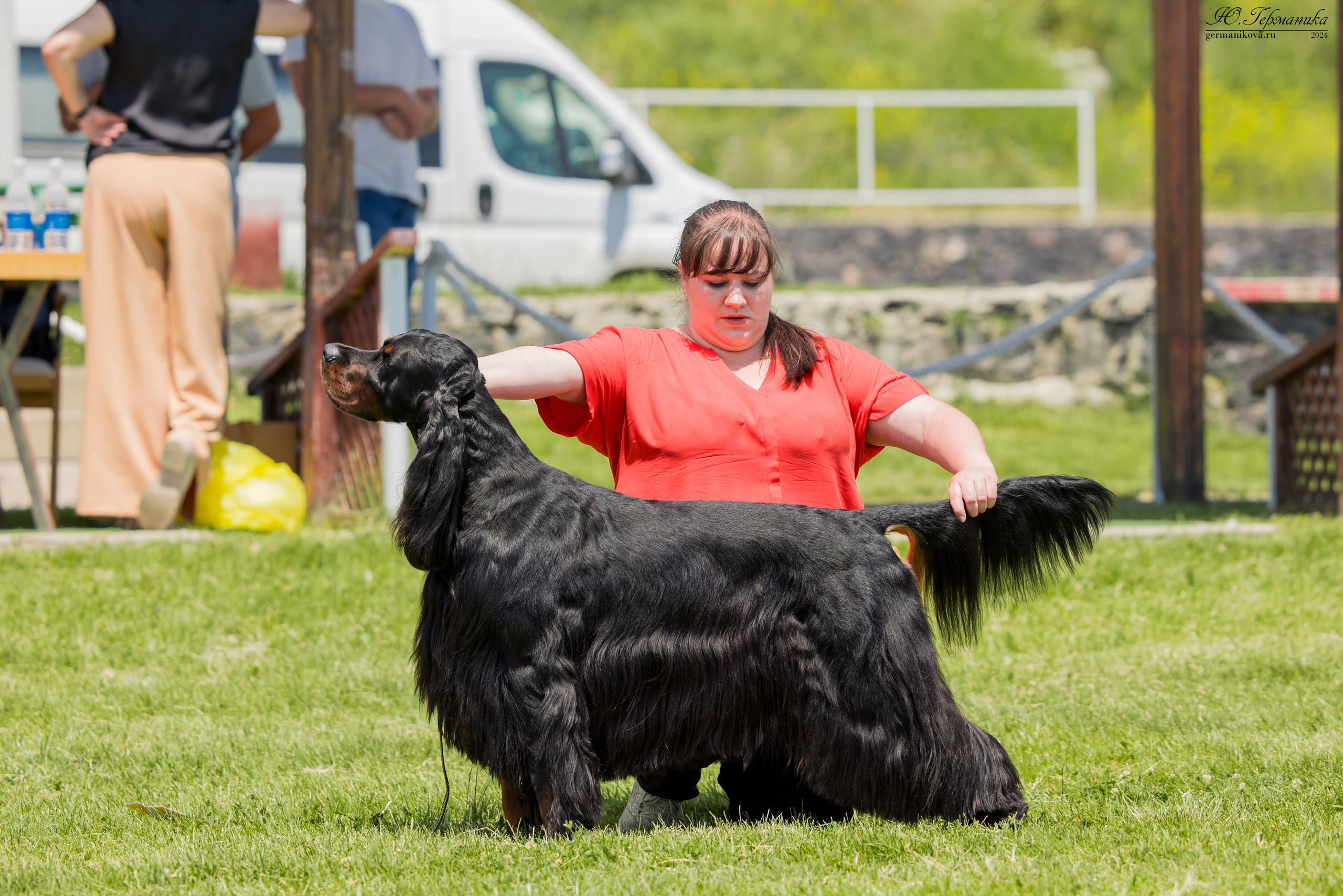 Ереван 3-5.06.2024. Фотограф-анималист Юлия Германика