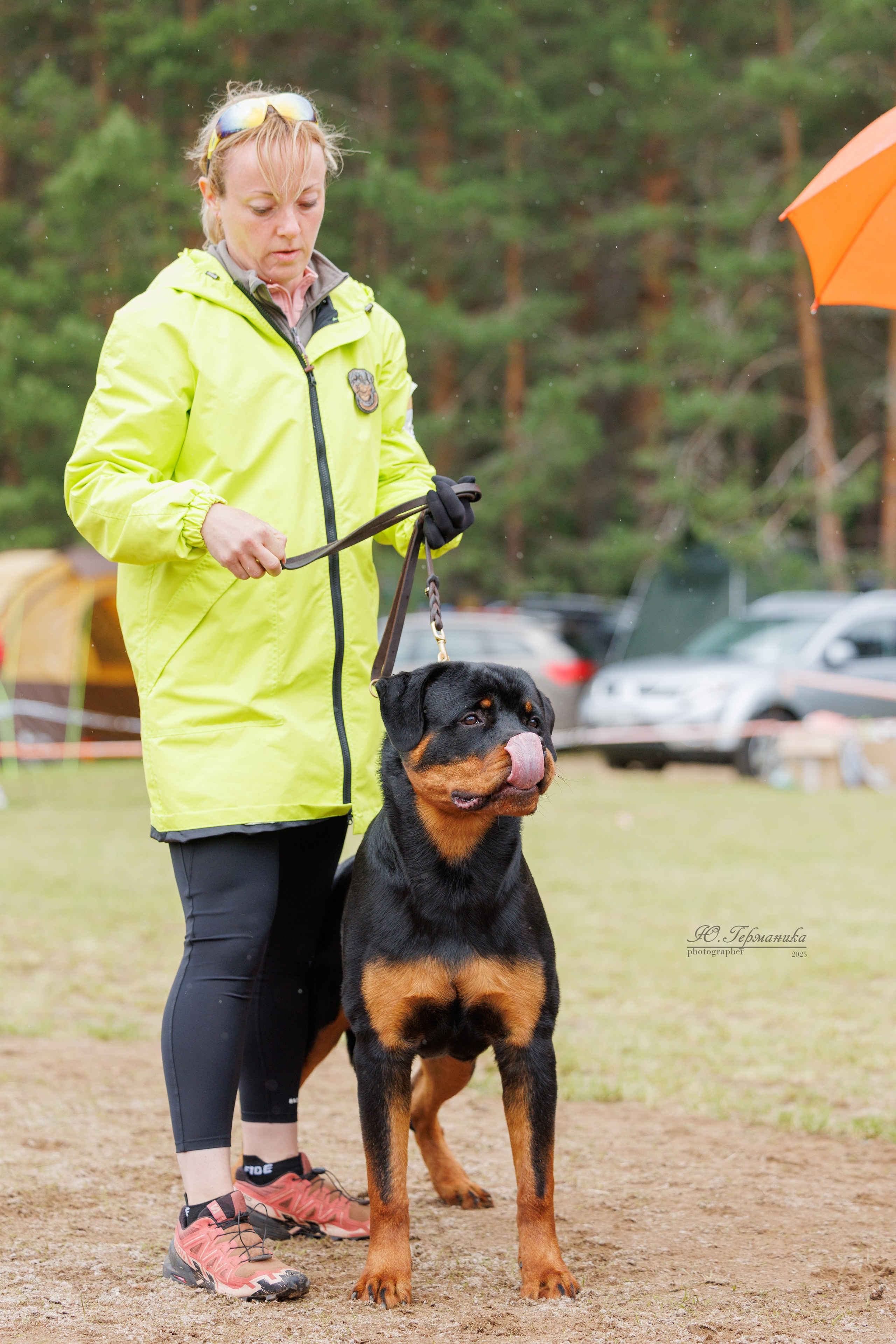 Тверь ротвейлеры 5-6.07.2025. Фотограф-анималист Юлия Германика