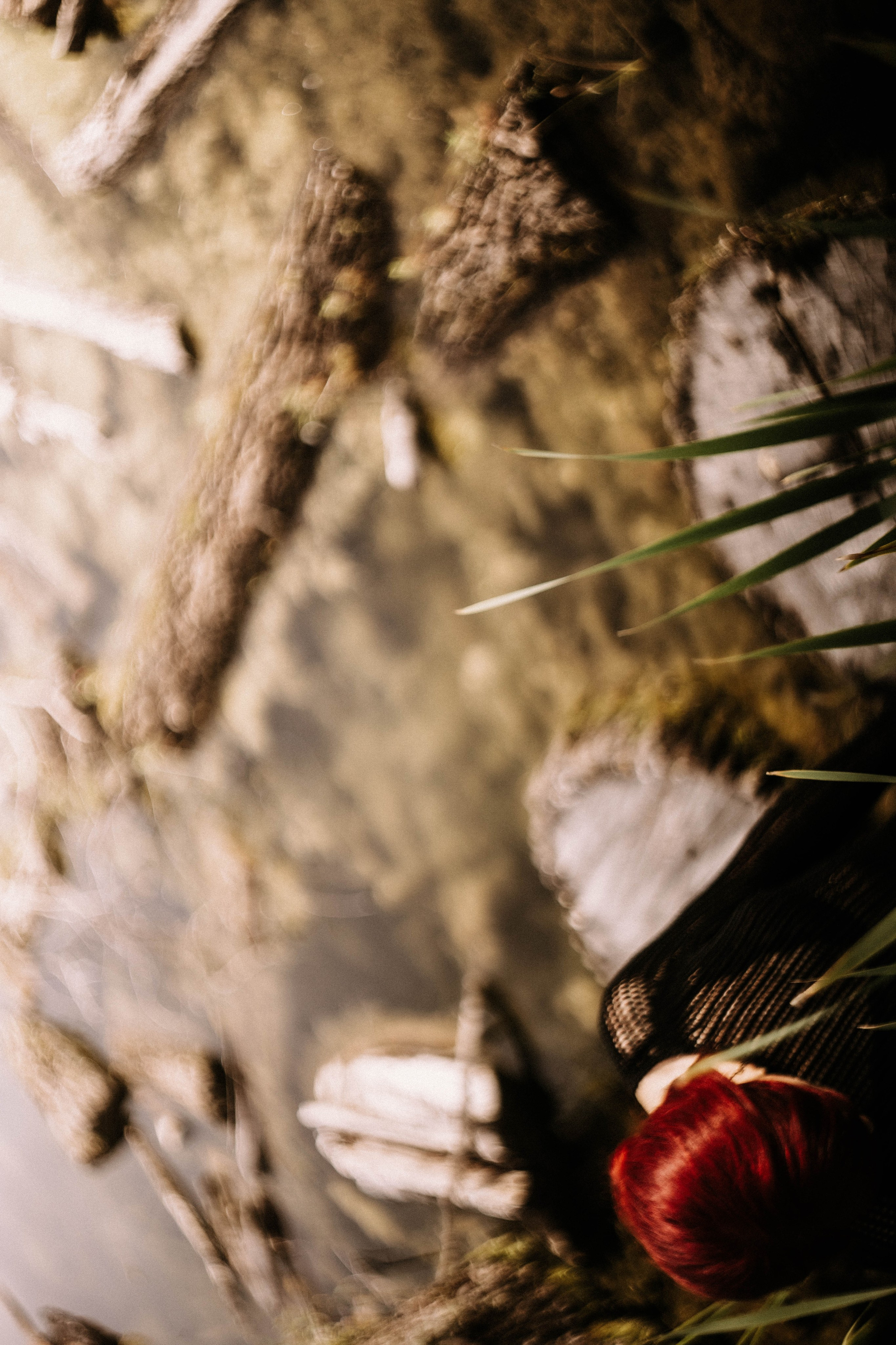 Жанна. Болото.Рогоз. Фотограф в Нижнем Новгороде