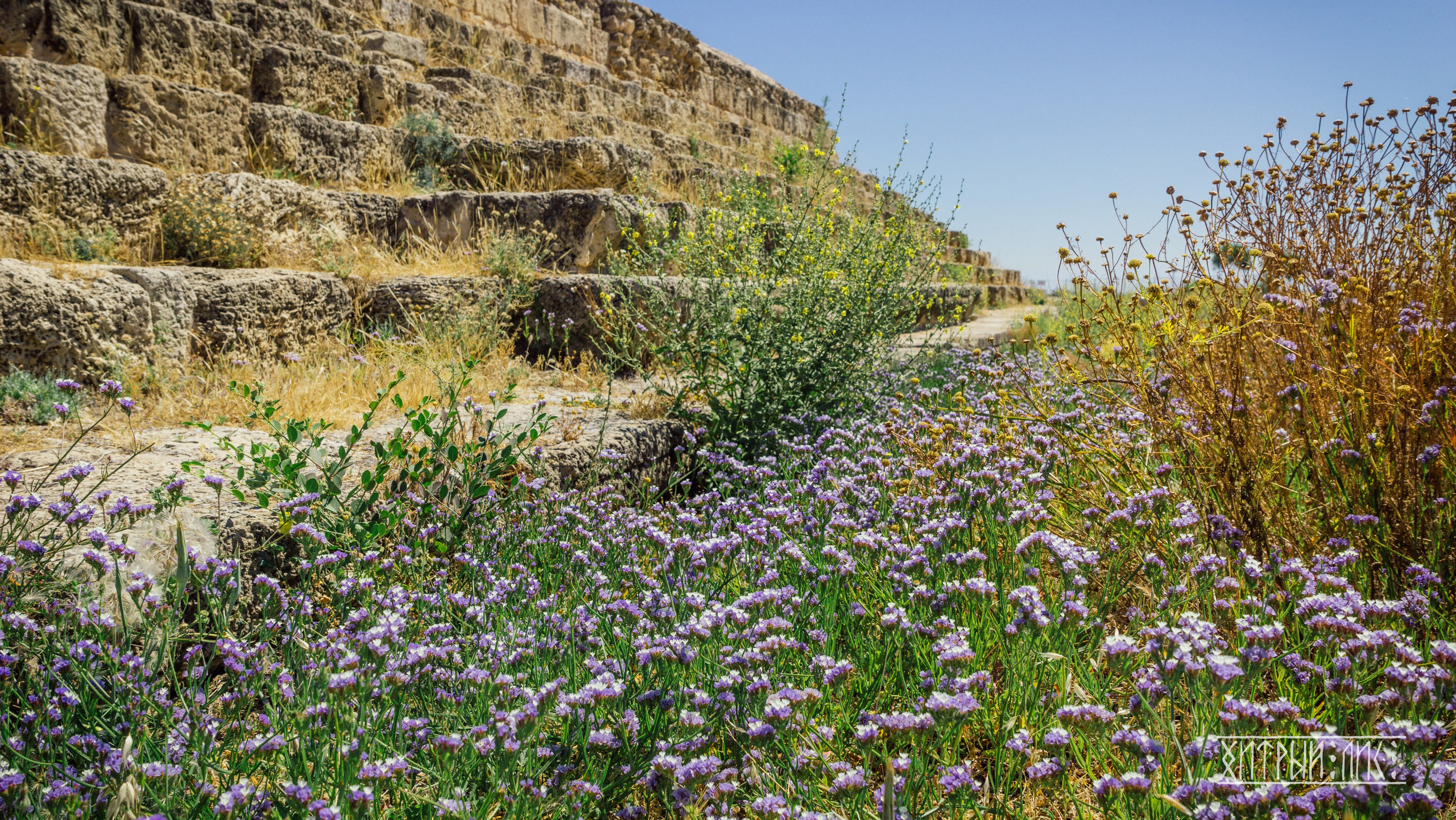 Кипр. Фотограф-путешественник Самойлов Максим «Sly Fox»