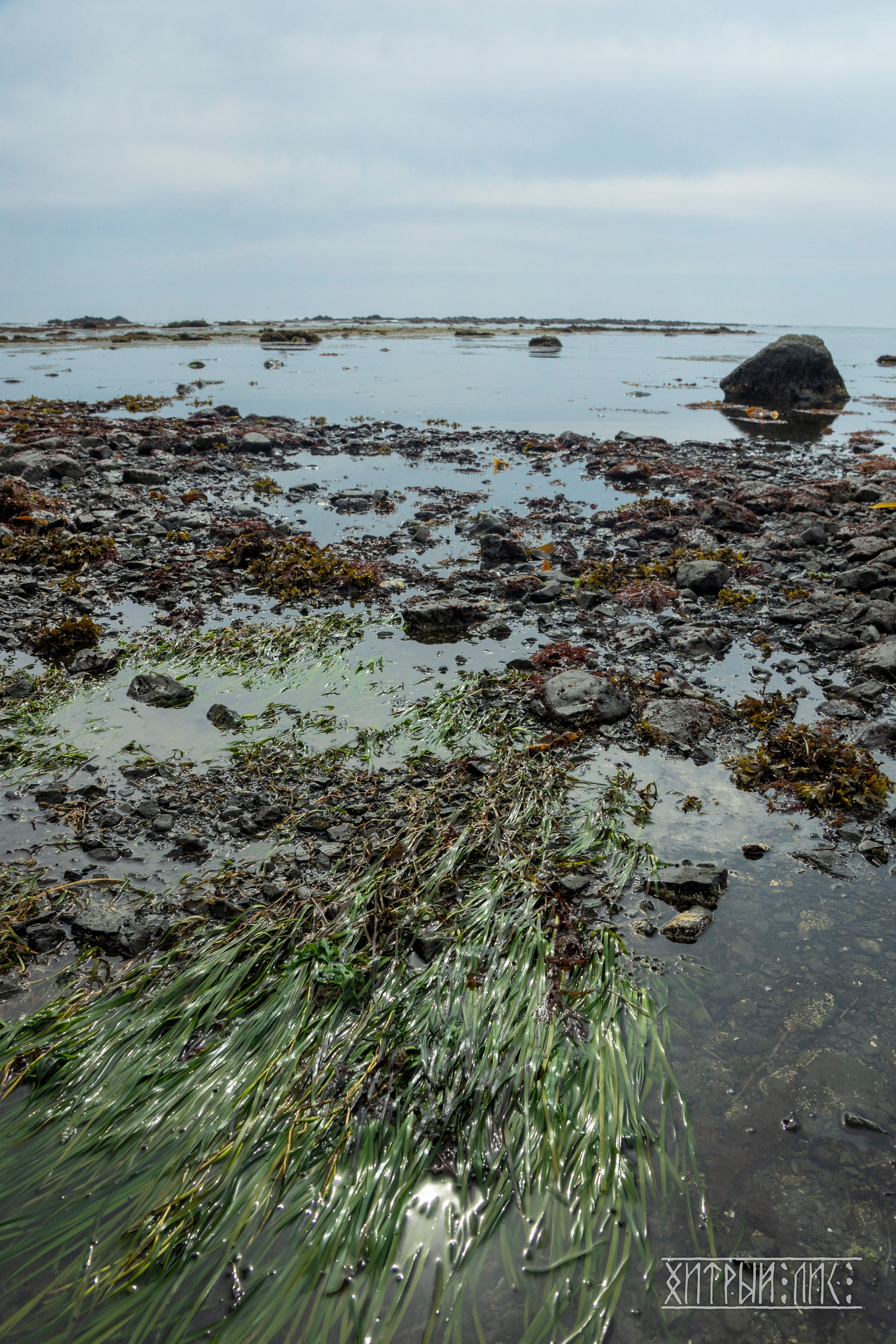 Сахалин. Фотограф-путешественник Самойлов Максим «Sly Fox»