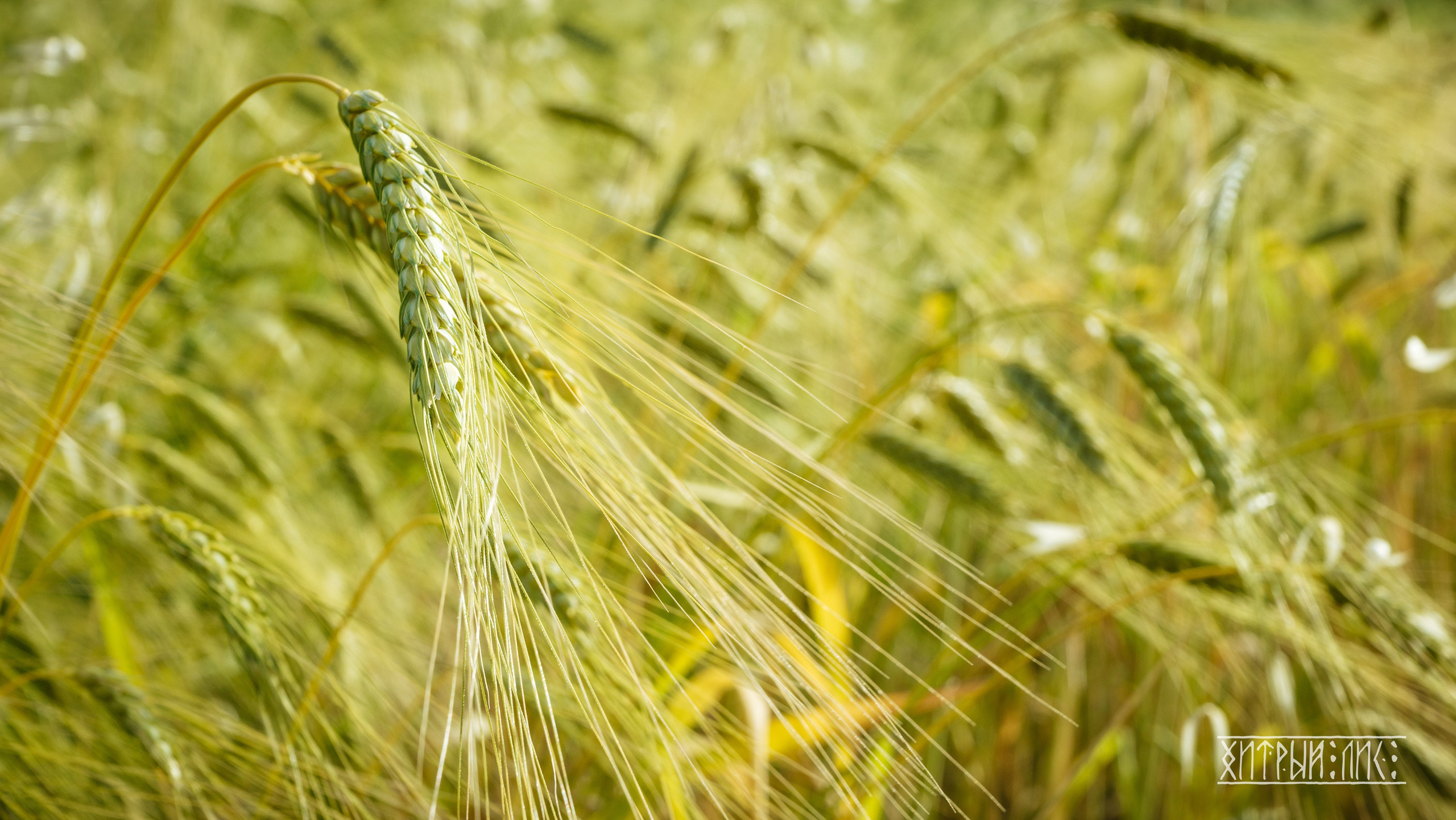 Кипр. Фотограф-путешественник Самойлов Максим «Sly Fox»