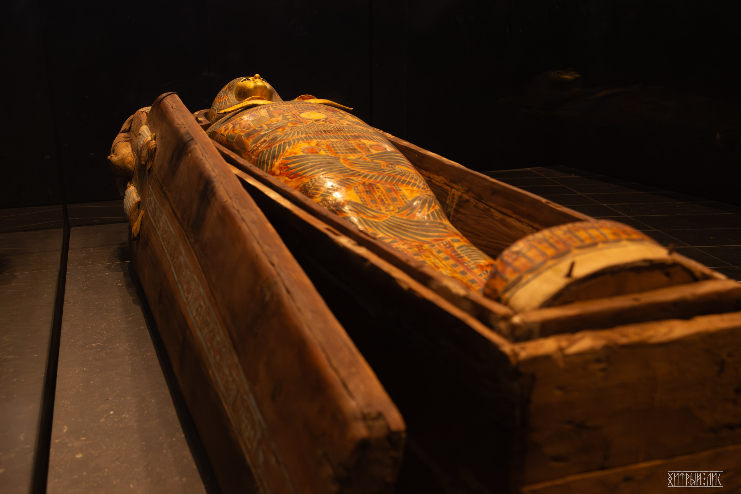 ОАЭ. Фотограф-путешественник Самойлов Максим «Sly Fox»