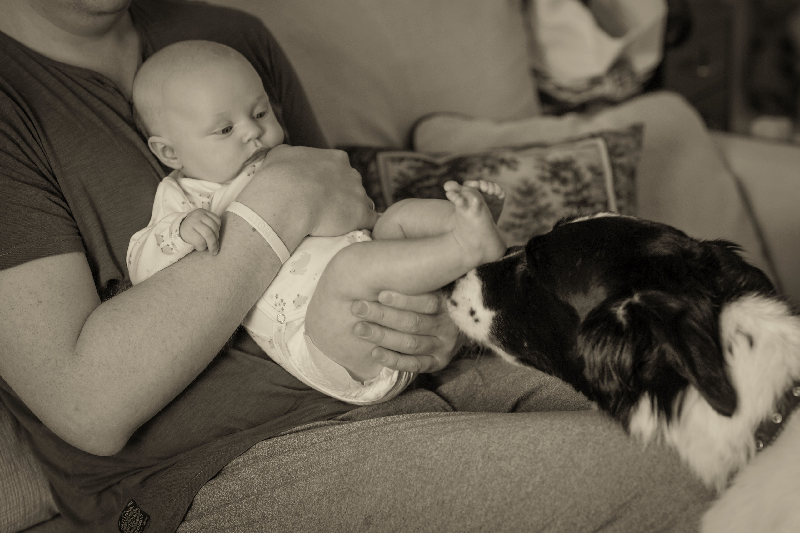 Семья Сабины. Семейный и детский фотограф Троицк Москва