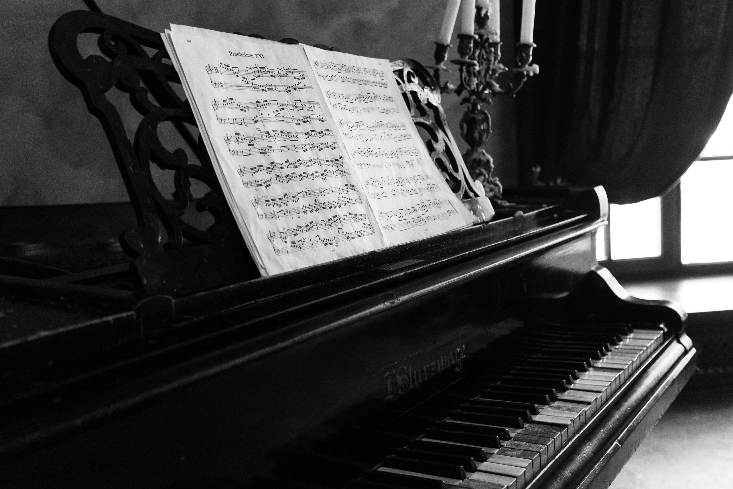 Lavrentiy & Daria. Photographer Vadim Cheprasov | Saint-Petersburg