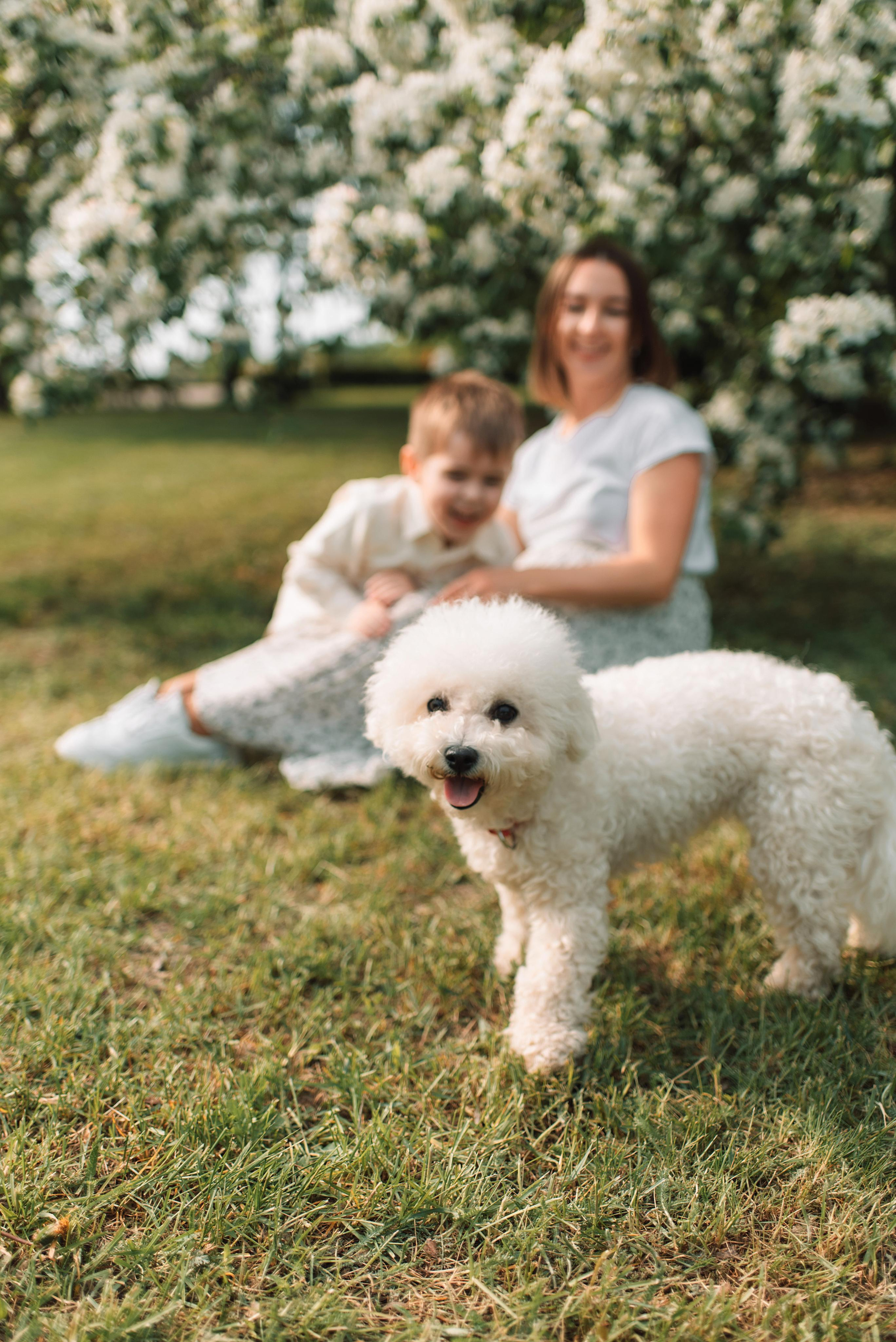 Цветение в парке. Семейный и детский фотограф в Москве и Подмосковье Ксения Черникова