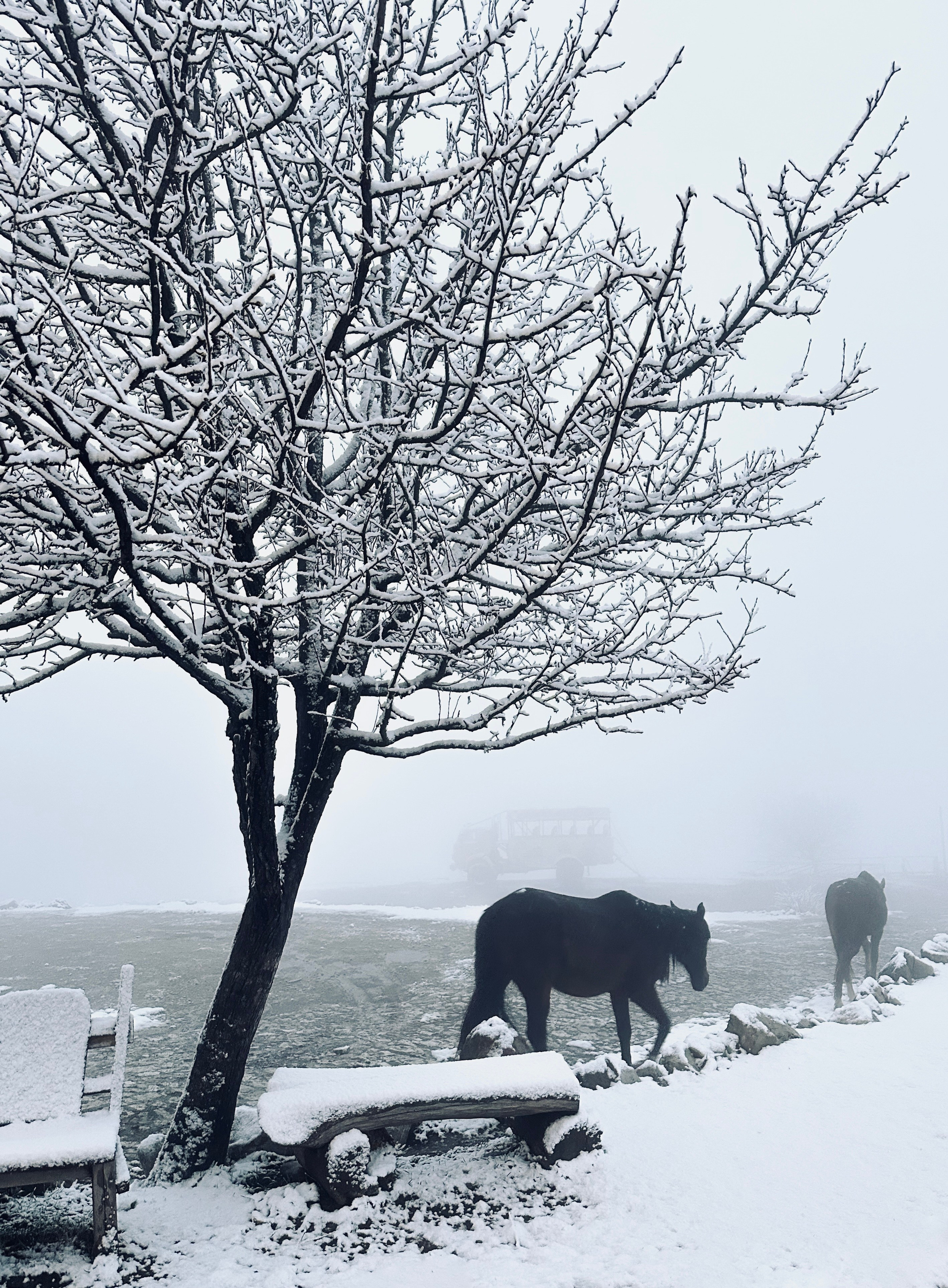 Заметки. Колесникова Мария Арт-фотограф